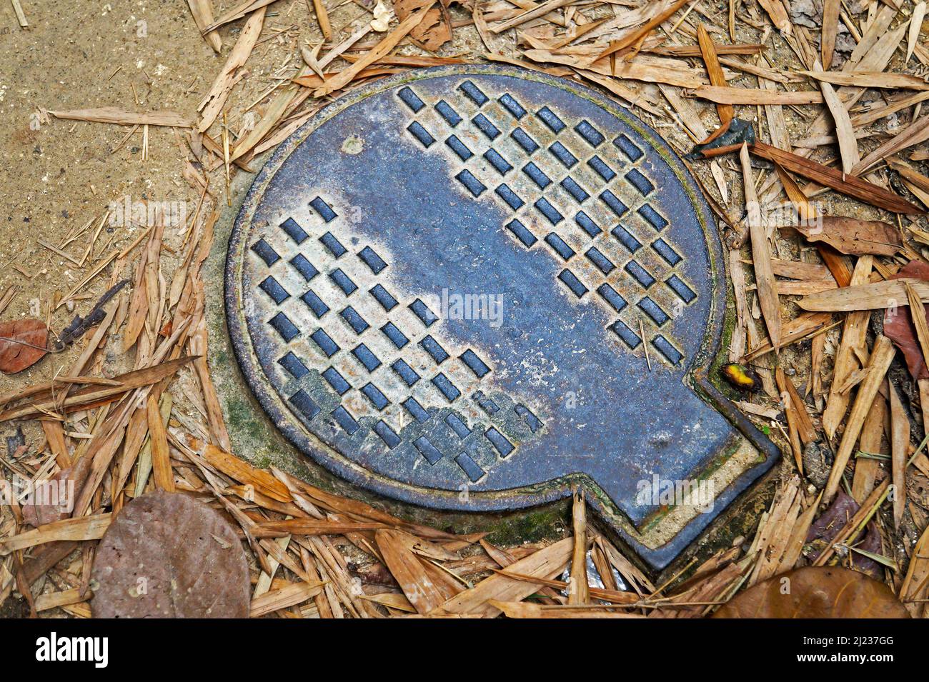 Manhole cover on public park Stock Photo