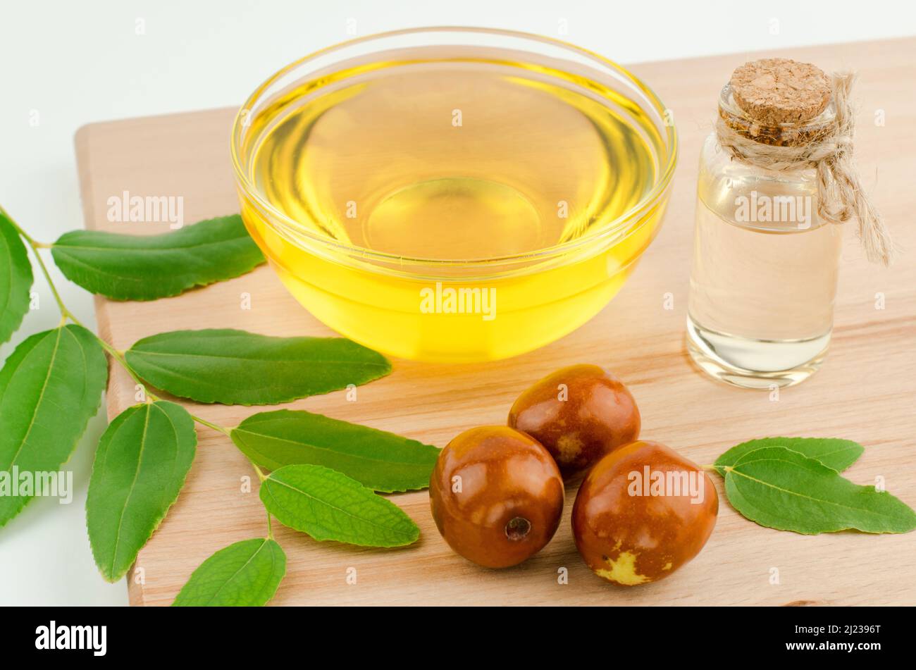 Jojoba oil, seeds, and leaves hires stock photography and images Alamy