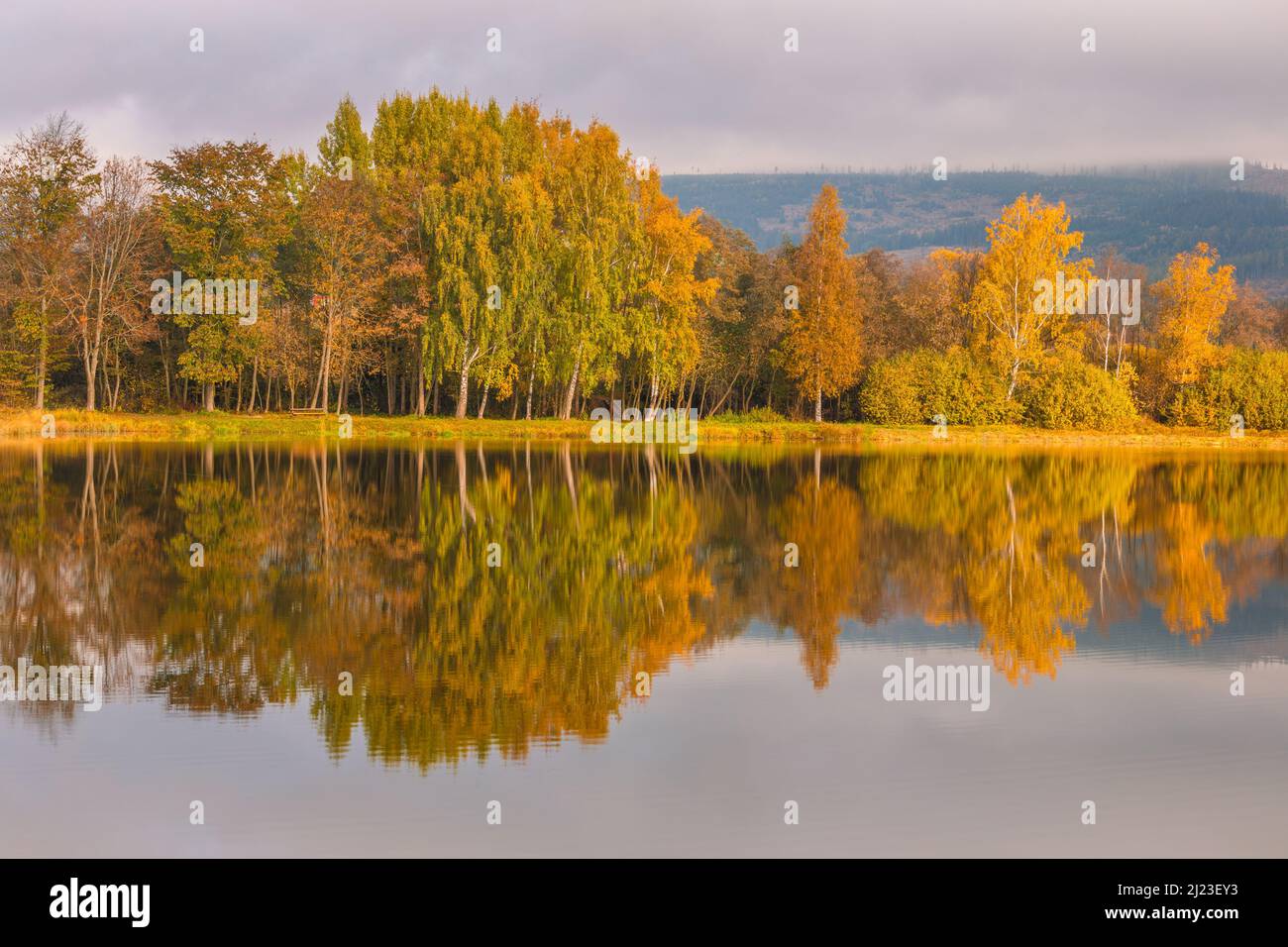 autumn-landscape-mirroring-of-colorful-trees-on-the-water-surface-of