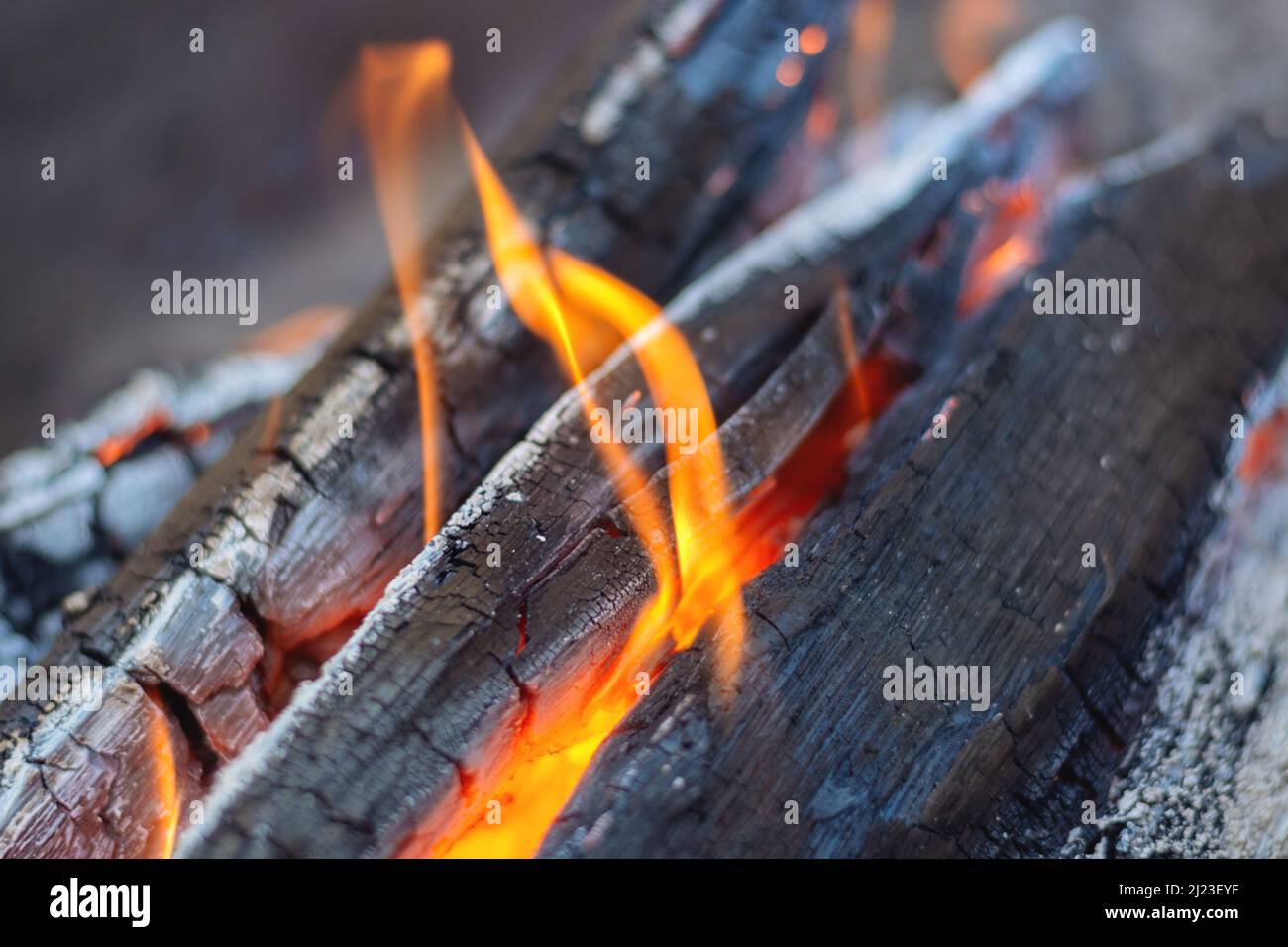 Firewood is burning in the fireplace in the flames of a warm red fire