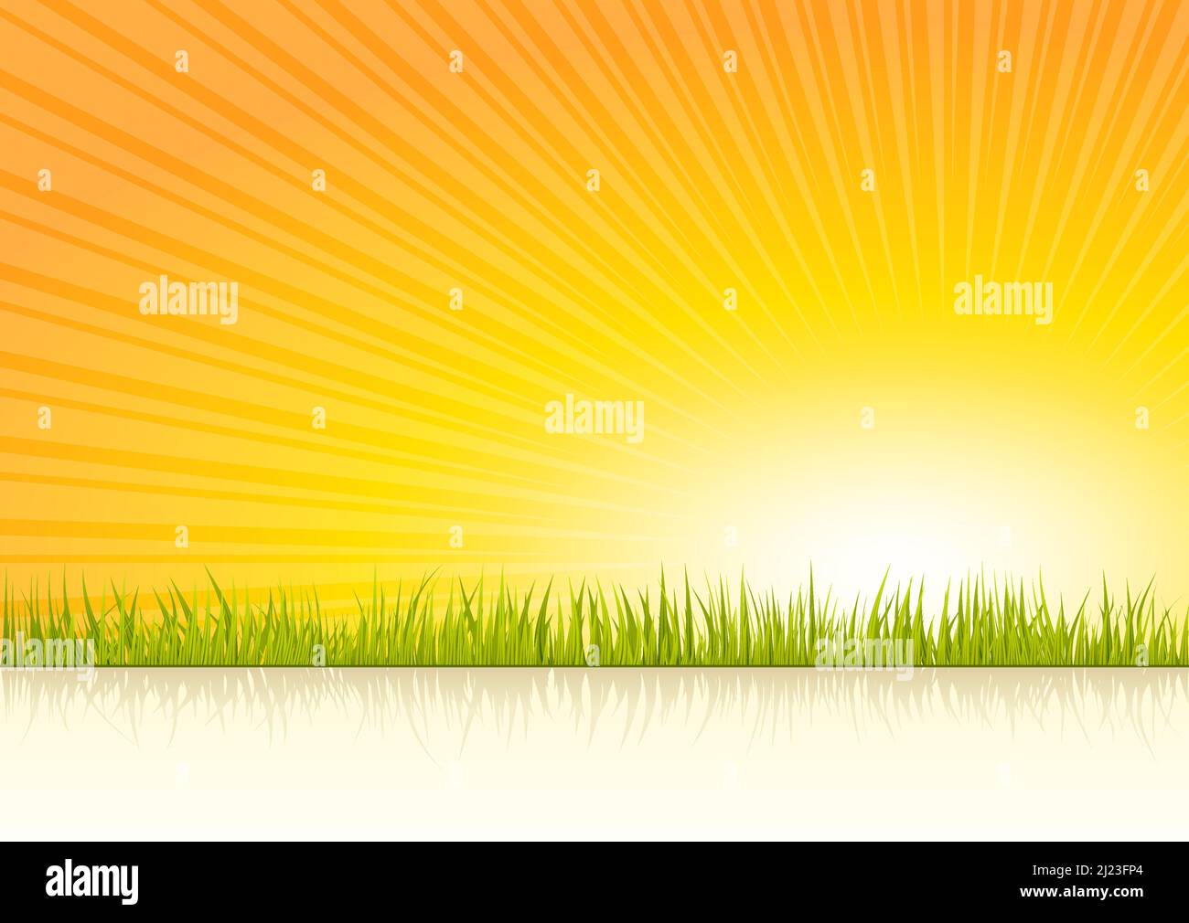Sunset vector illustration background with grass Stock Vector Image ...