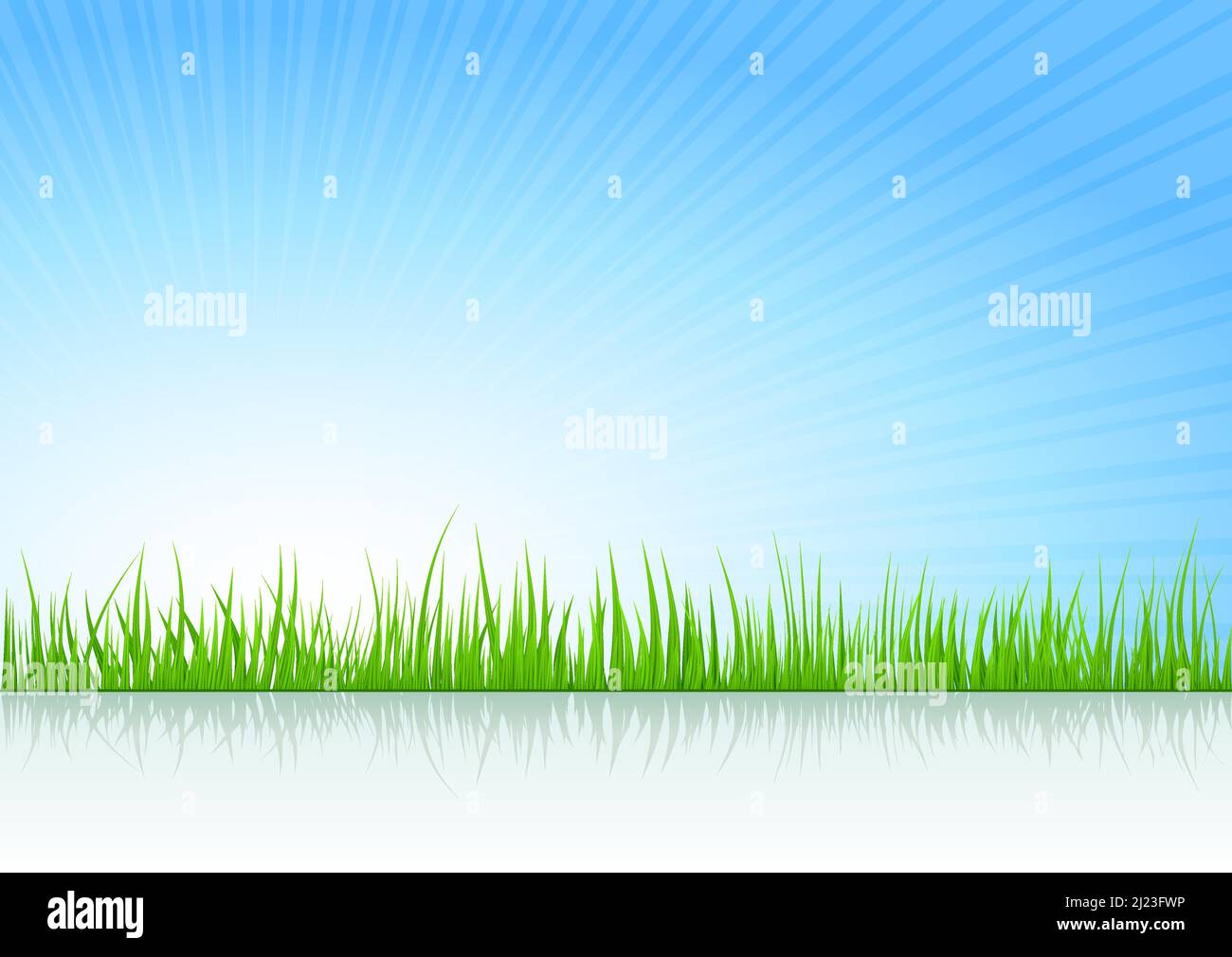 Summer vector illustration background with grass Stock Vector Image ...