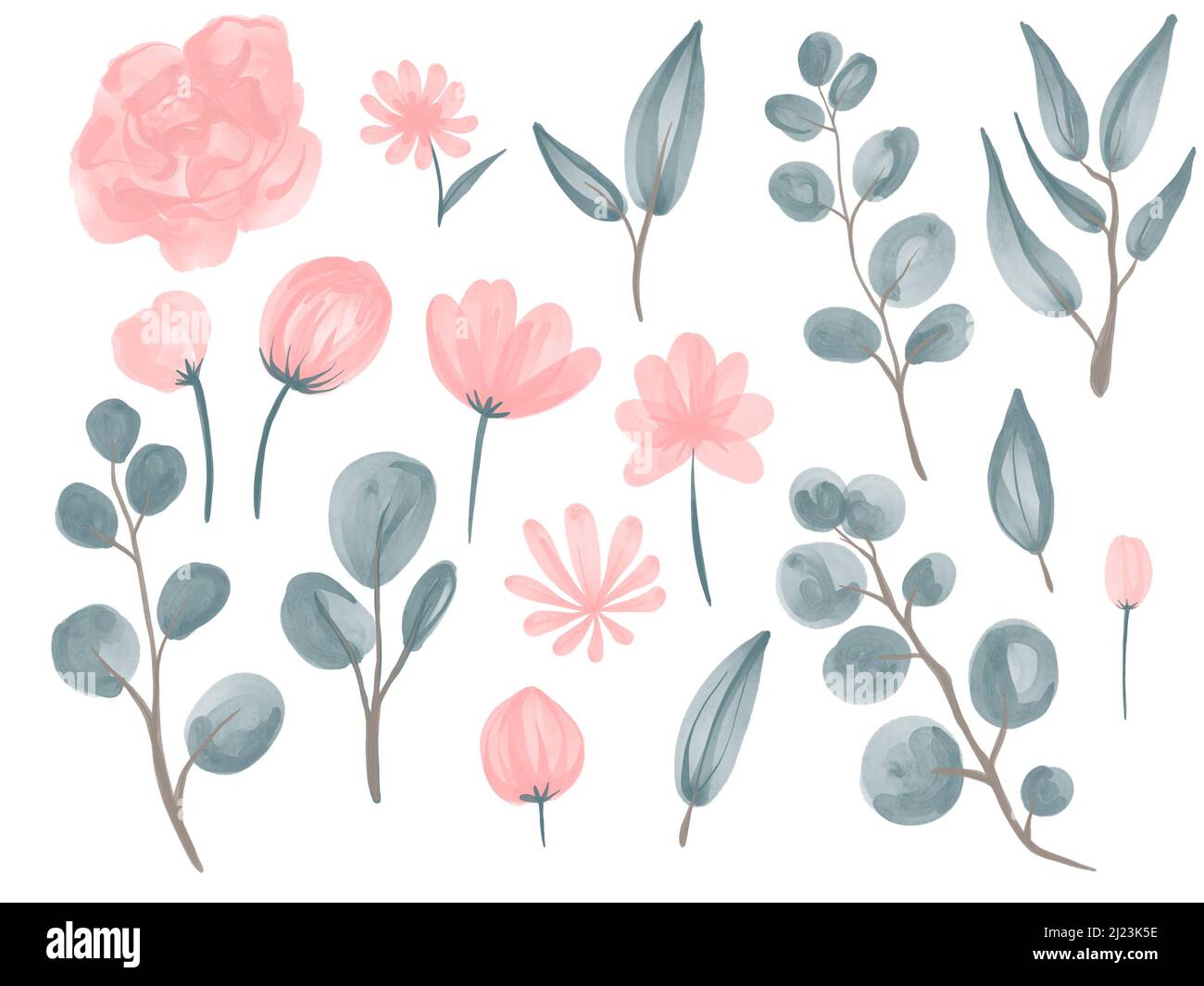 Collection of watercolor flowers and eucalyptus branches for wedding compositions. Stock Photo