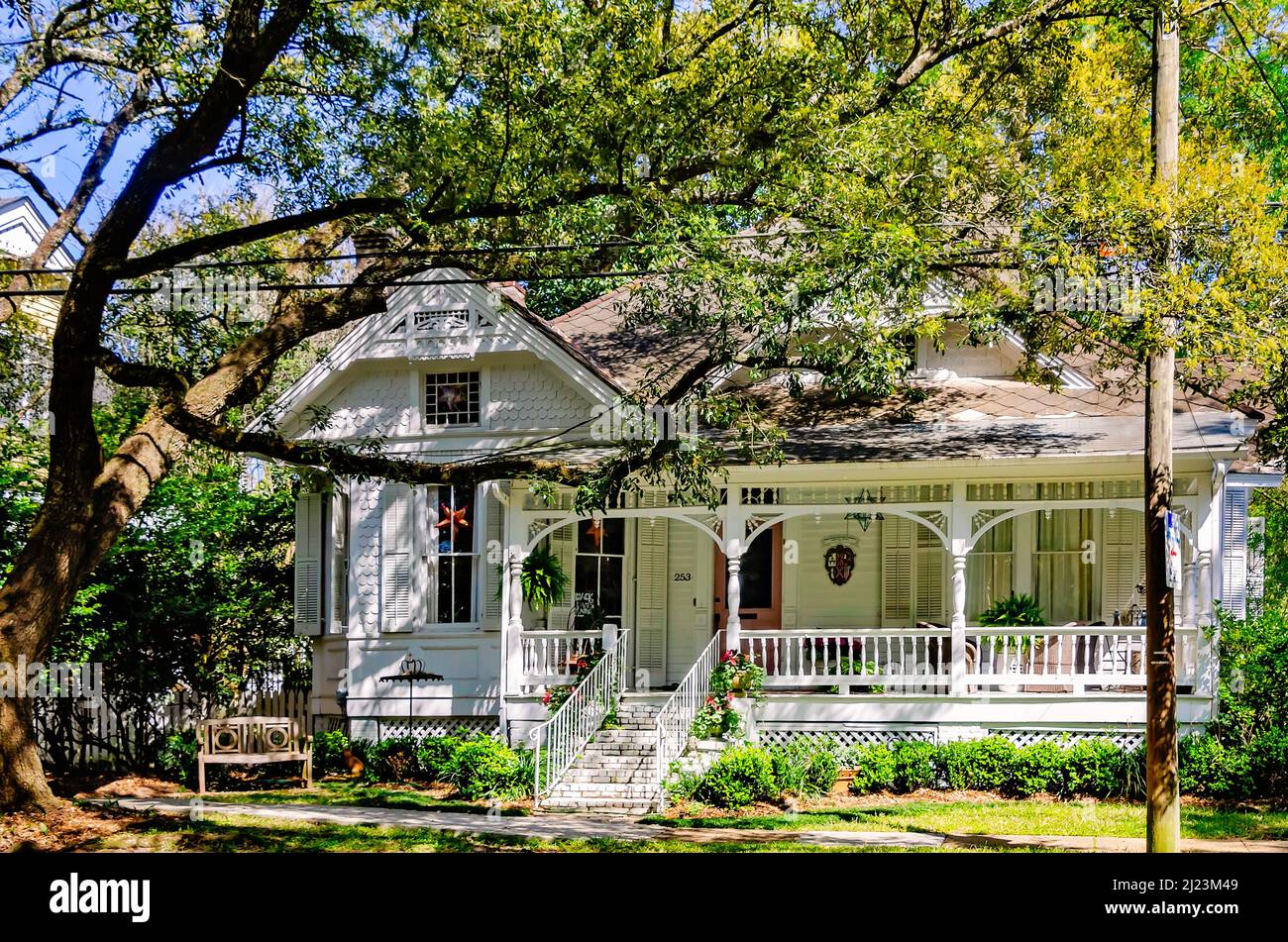 A live oak tree stands in front of a historic home in the Oakleigh Garden Historic District, March 26, 2022, in Mobile, Alabama. Stock Photo