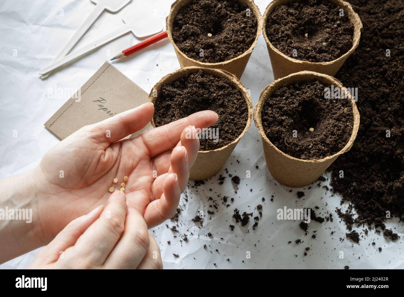 The first spring sowing works. Stock Photo