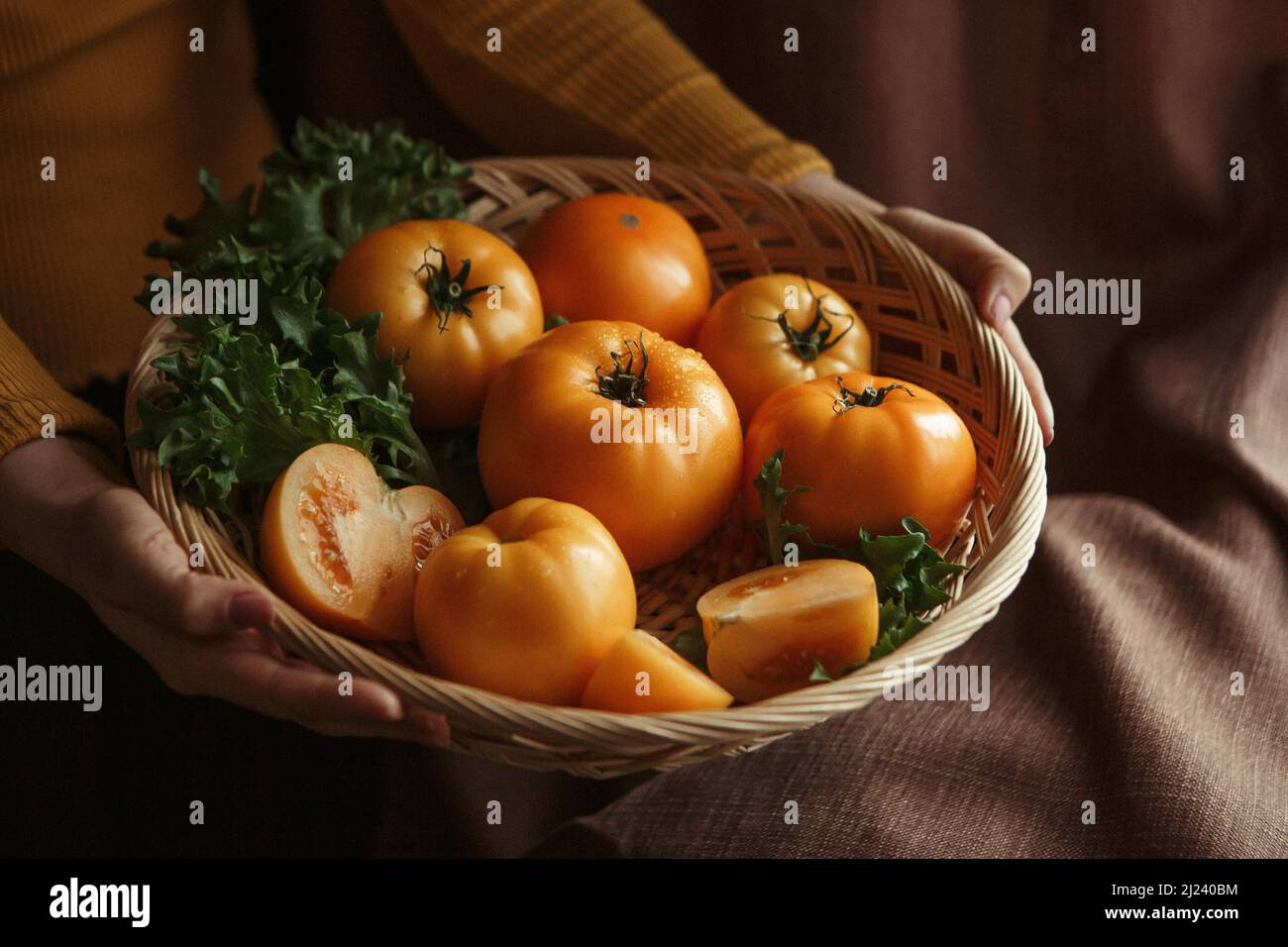 yellow tomatoes in a basket with hands Stock Photo - Alamy