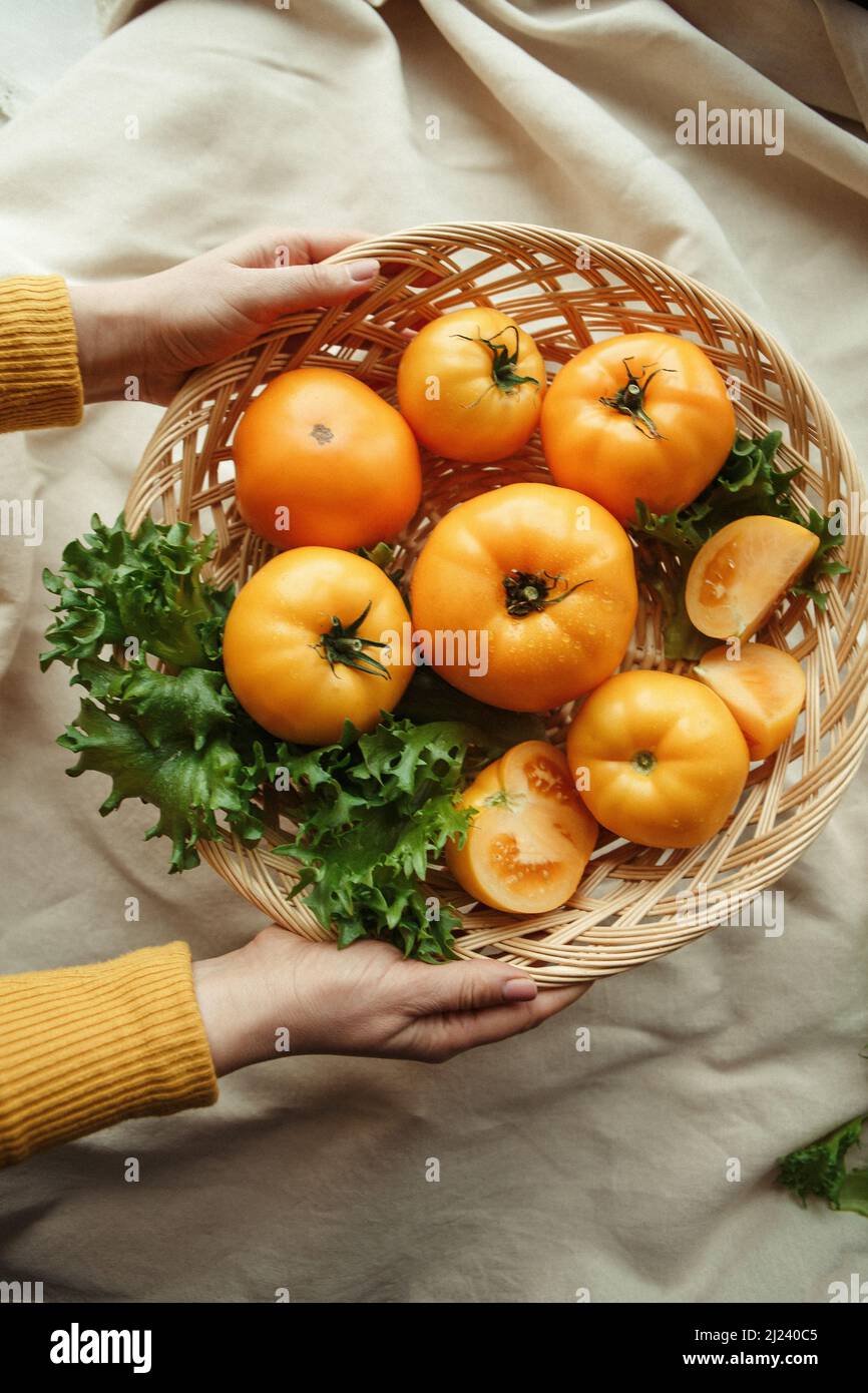yellow tomatoes in a basket holding hands Stock Photo - Alamy