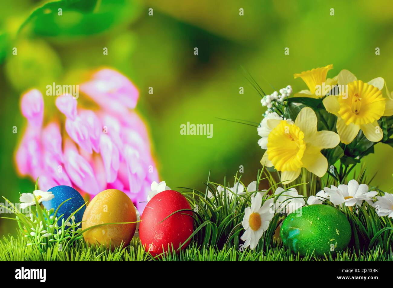 Easter composition, colorful eggs in grass with flowers on a colorful ...