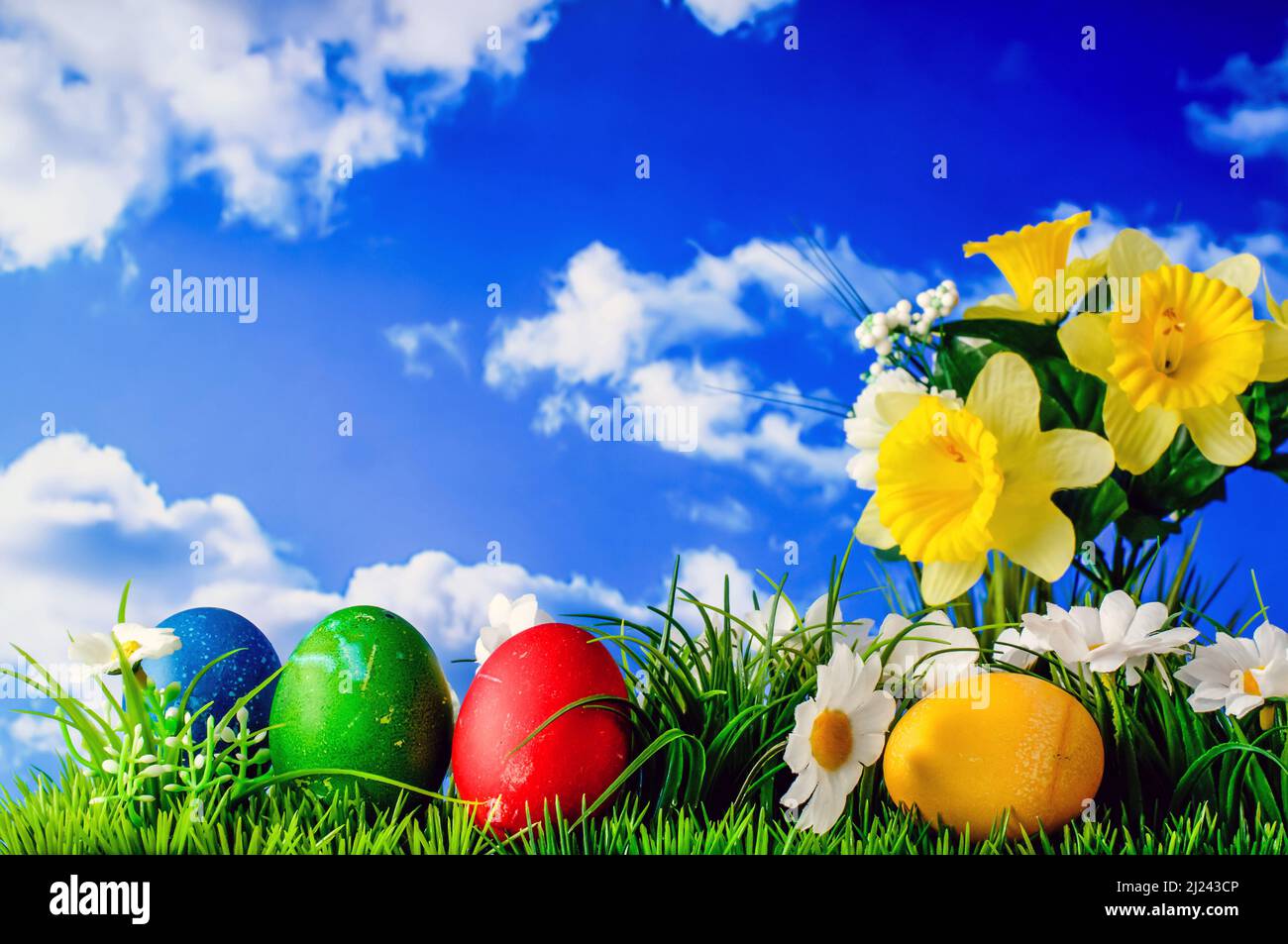 Easter composition, colored eggs in the grass with flowers against the sky, still life Stock Photo