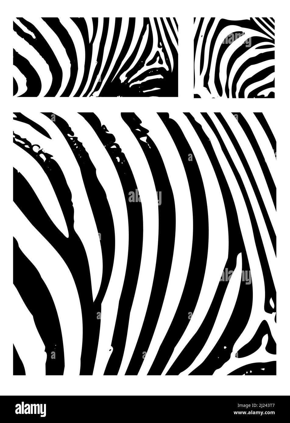 Zebra stripes background. Vector illustration Stock Vector Image & Art