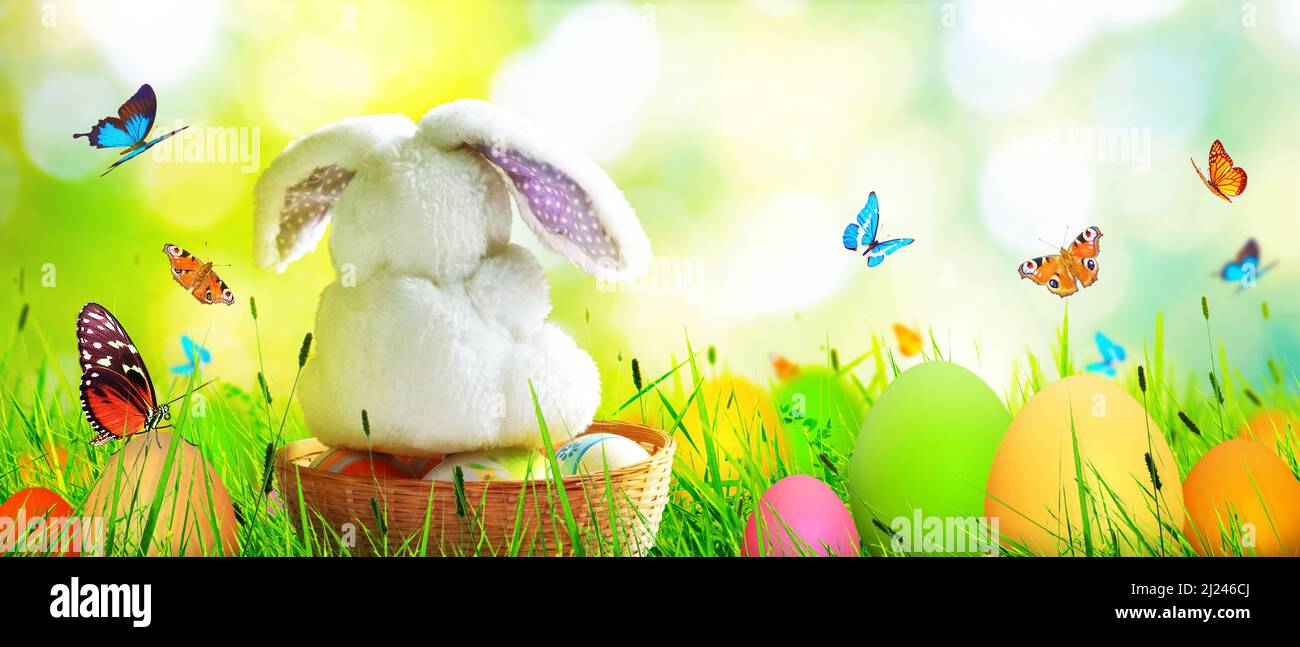 Easter composition with rabbit Festive decoration Happy Easter Stock
