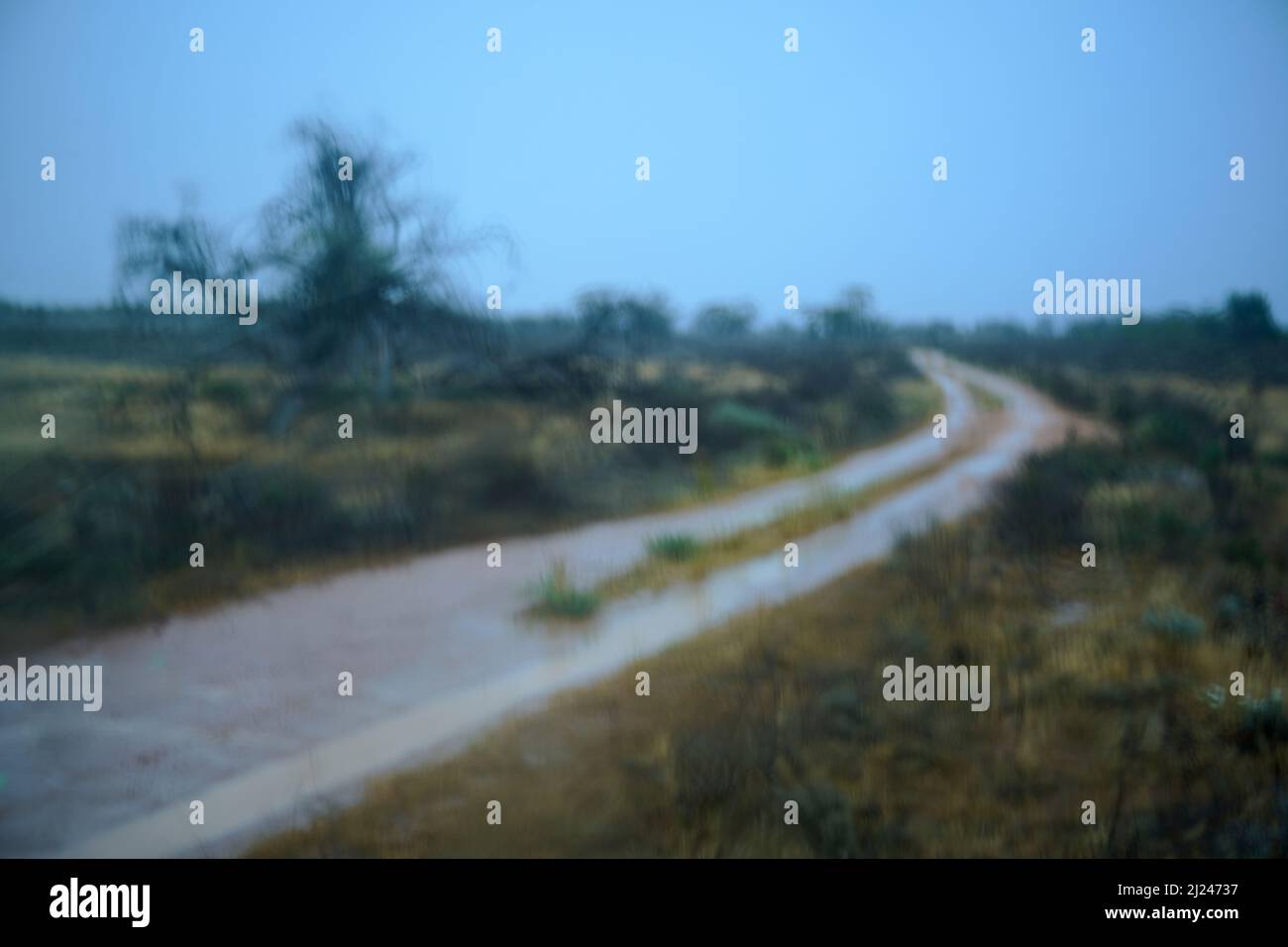 Abstract of rain falling over semi-arid bushland, Victoria, Australia, photographed through a wet windscreen. Stock Photo