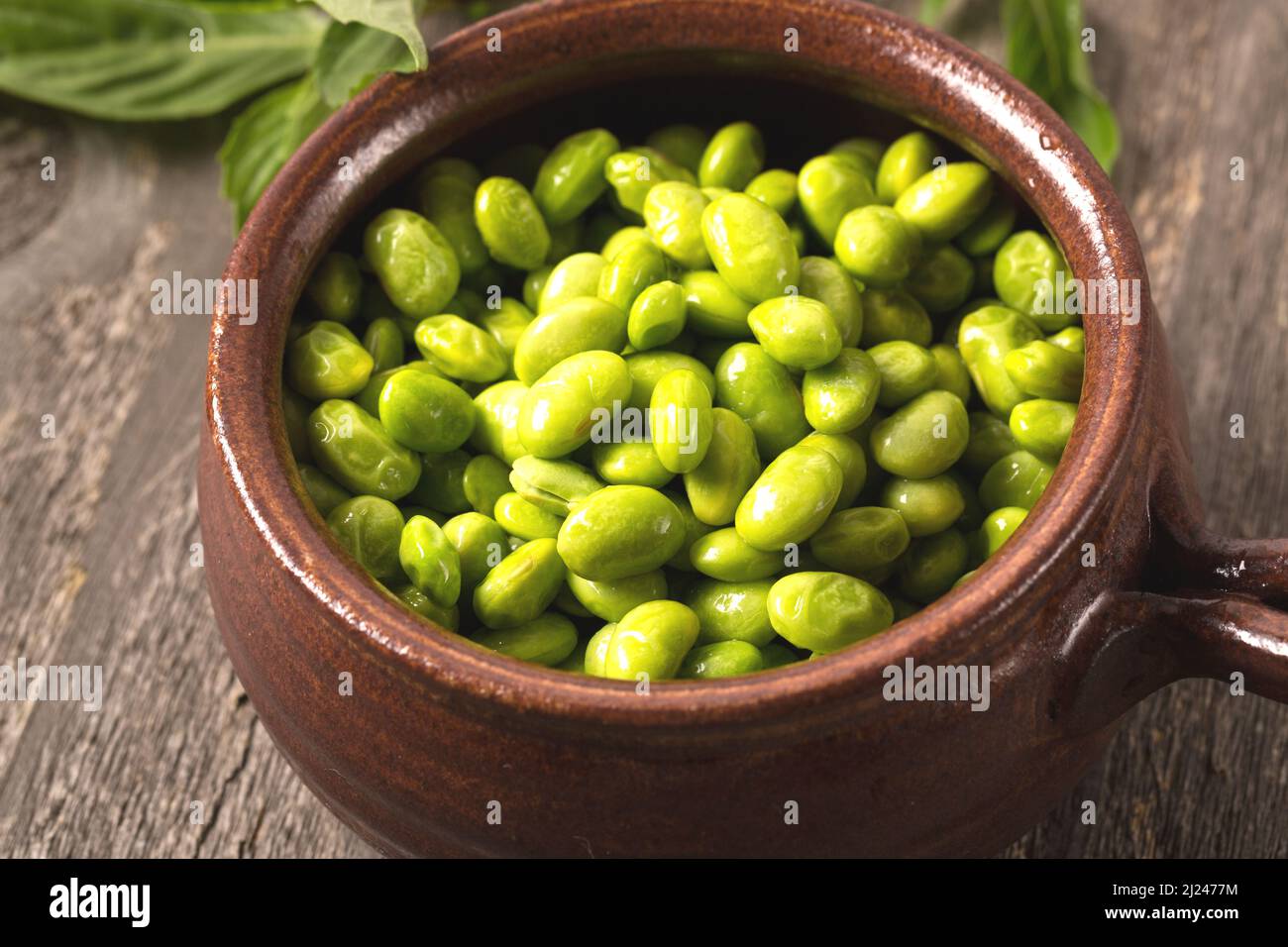 Soya Bean 'Envy' (Glycine max), The Delicious, Vegetables