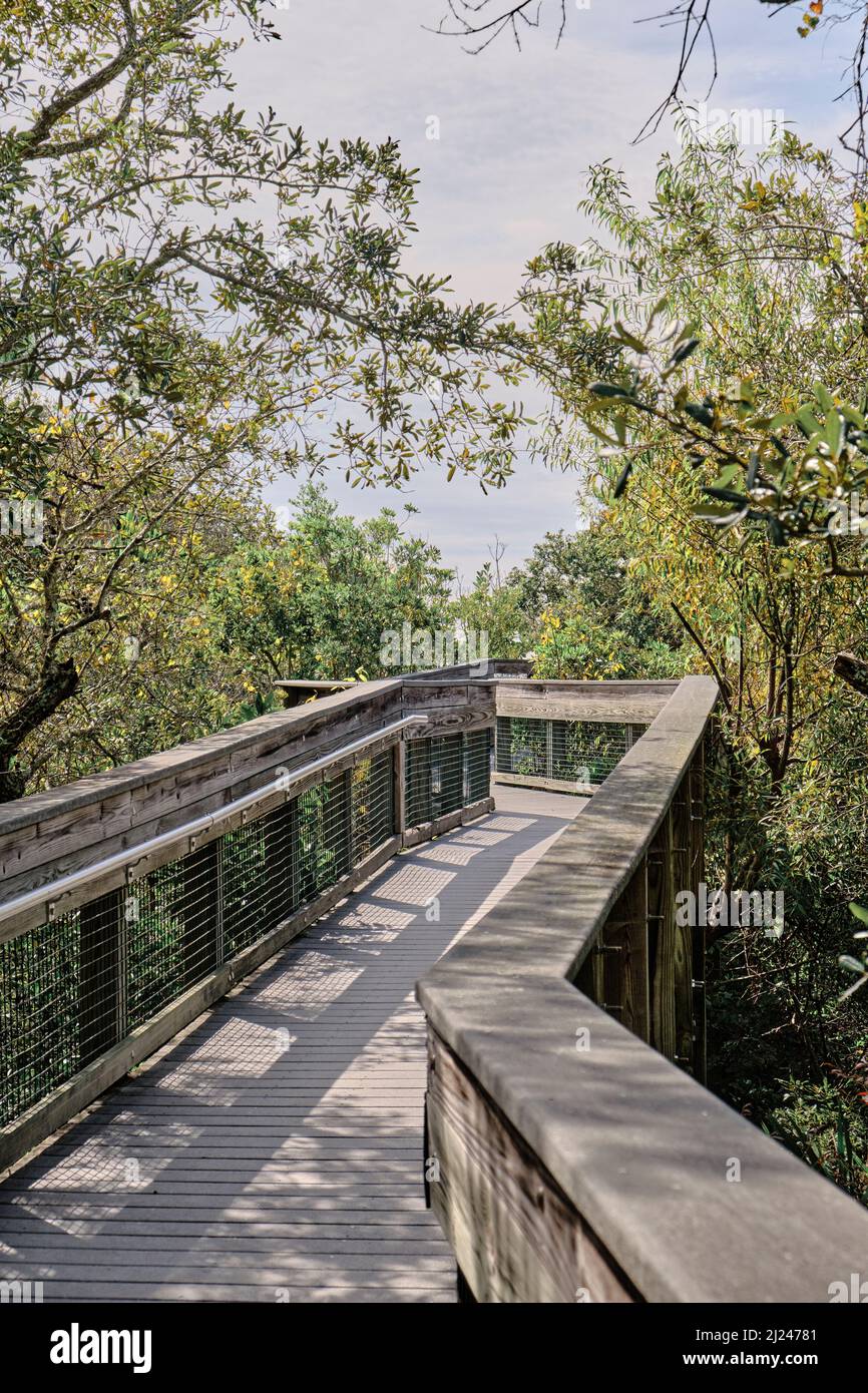 Boardwalk or wooden walkway through a nature preserve with trees and shrubs in Deer Lake State Park, Florida, USA. Stock Photo