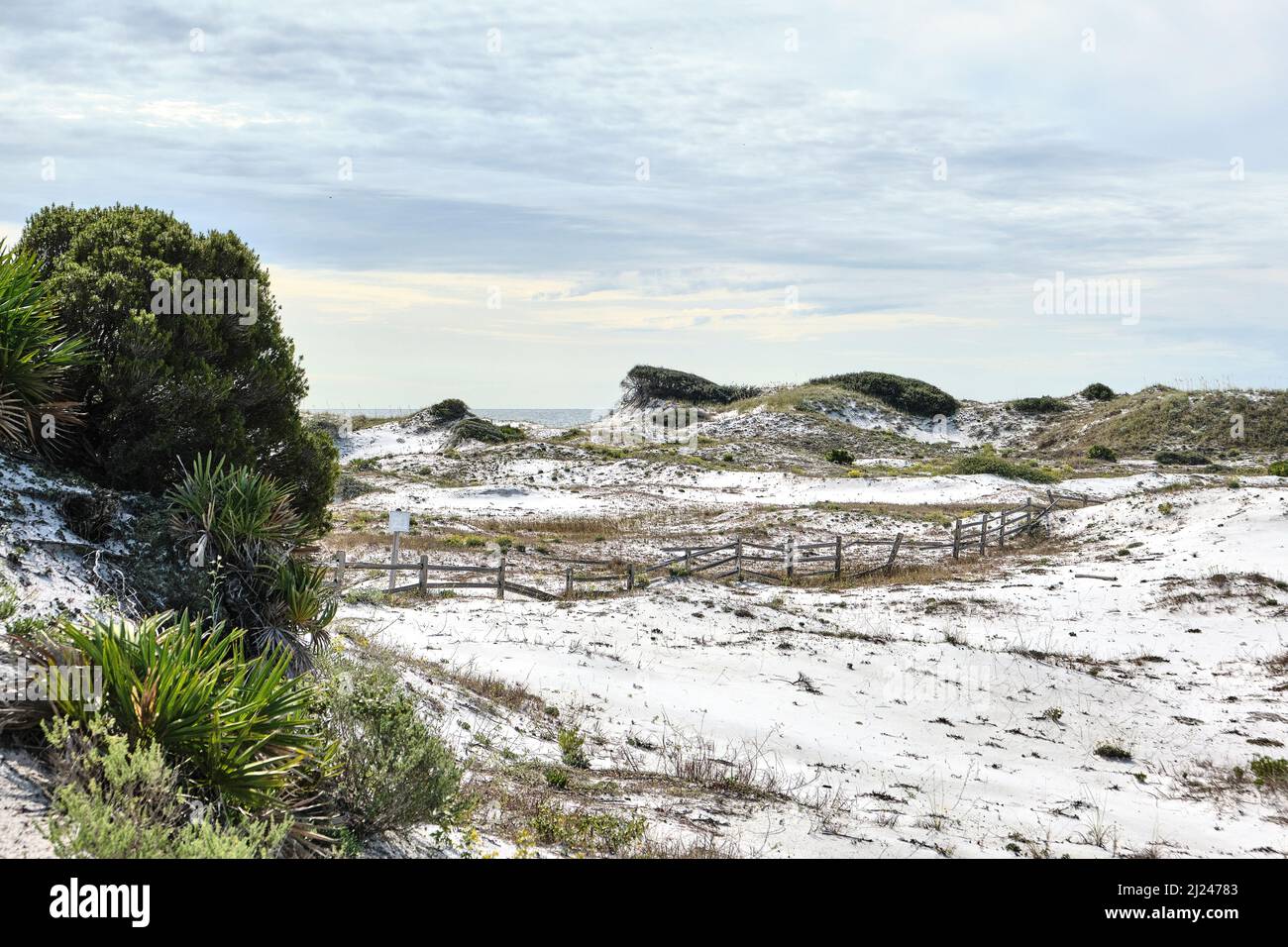 Florida coastal white sand dunes and a split rail fence near the Florida Gulf coast beach at Watersound Florida, USA. Stock Photo
