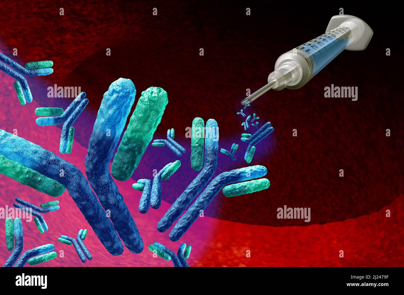 Monoclonal Antibody Treatment and therapies of  antibodies as a cure for virus infection as an immune system medical concept for oncology. Stock Photo
