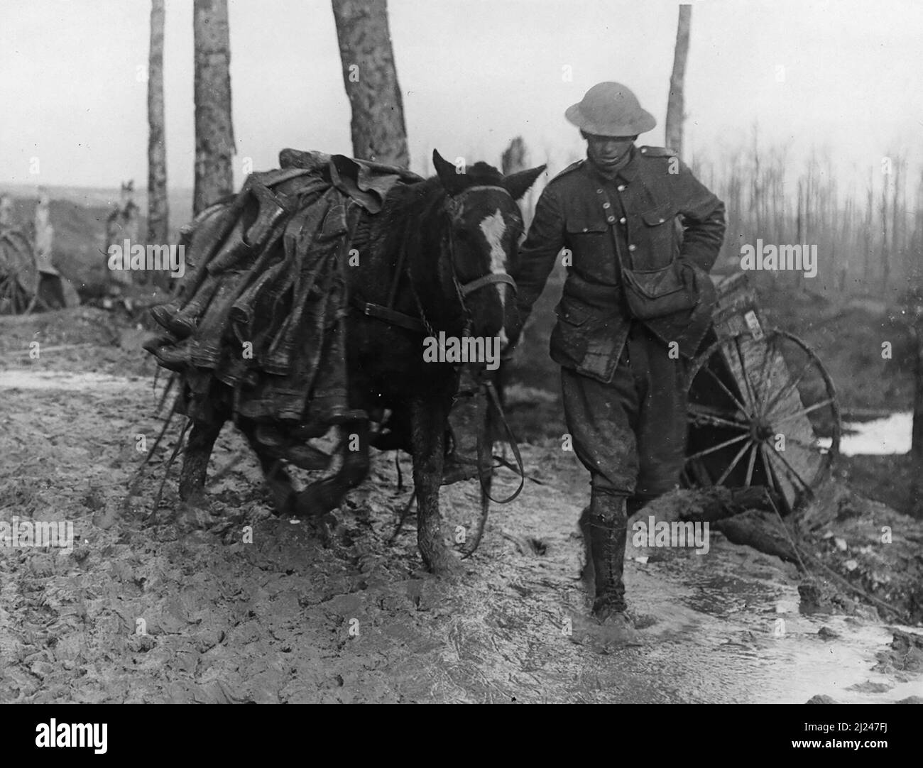 A horse carrying trench boots to the front Stock Photo