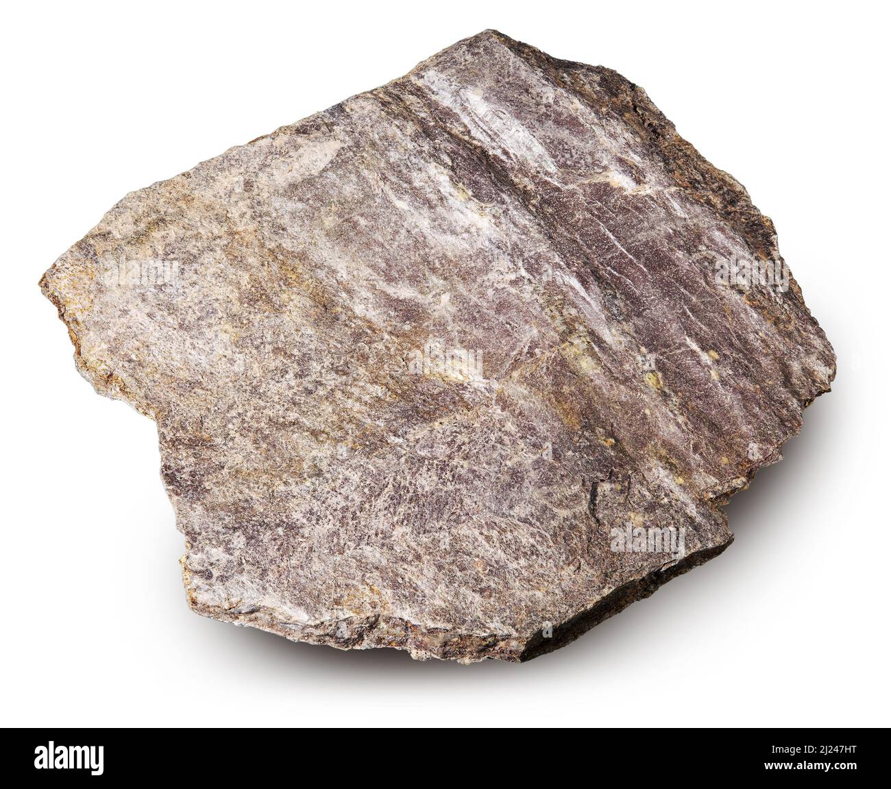 shale warm yeezy