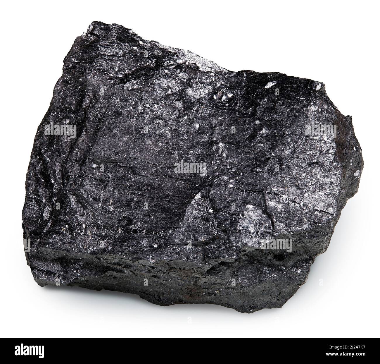 sedimentary rocks coal