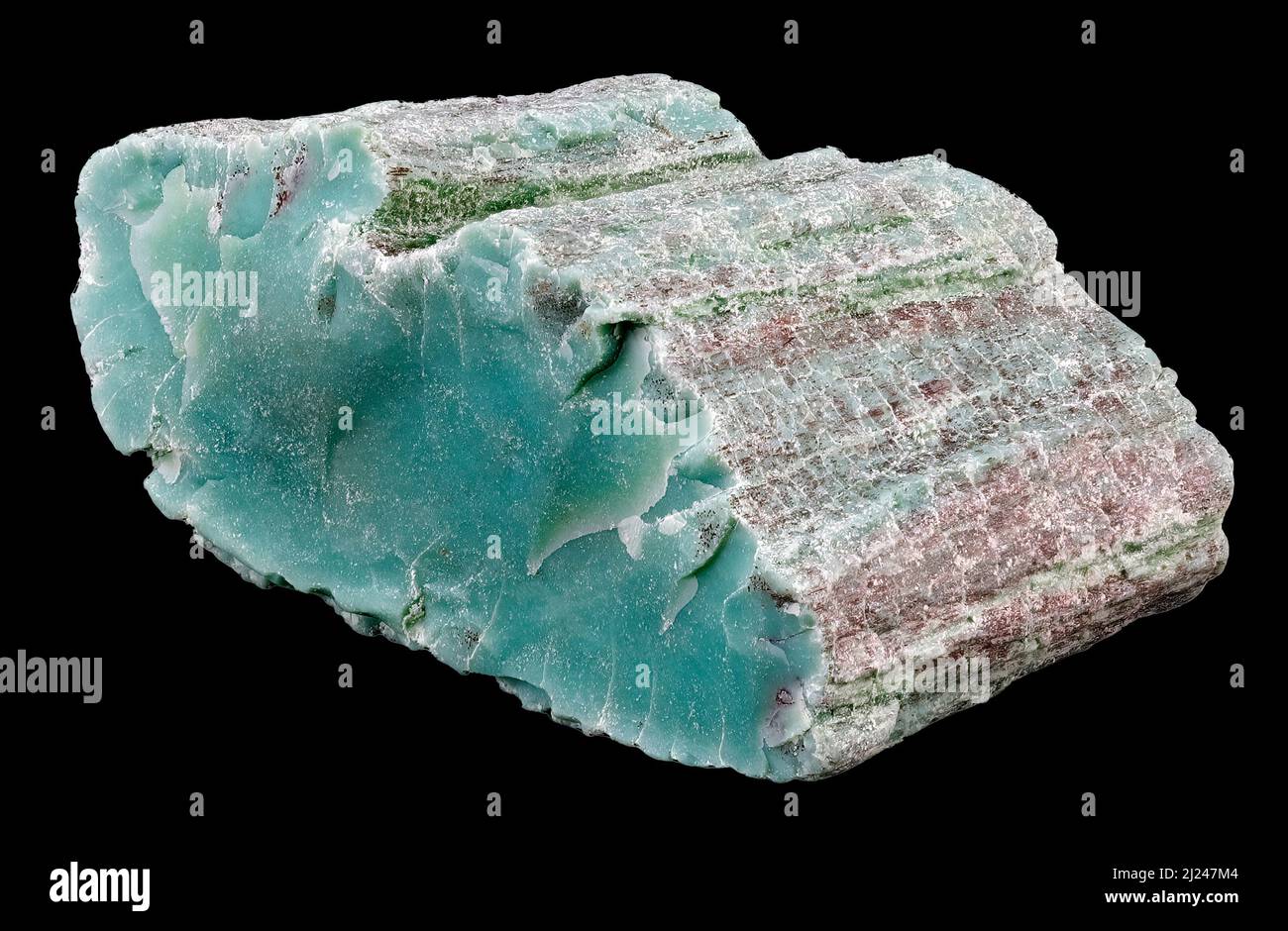 Chromium Petrified Tree Wood (Conifer-Araucarioxylon Arizonicum), The wood has been replaced with mineralized chromium, giving it its green color. It Stock Photo