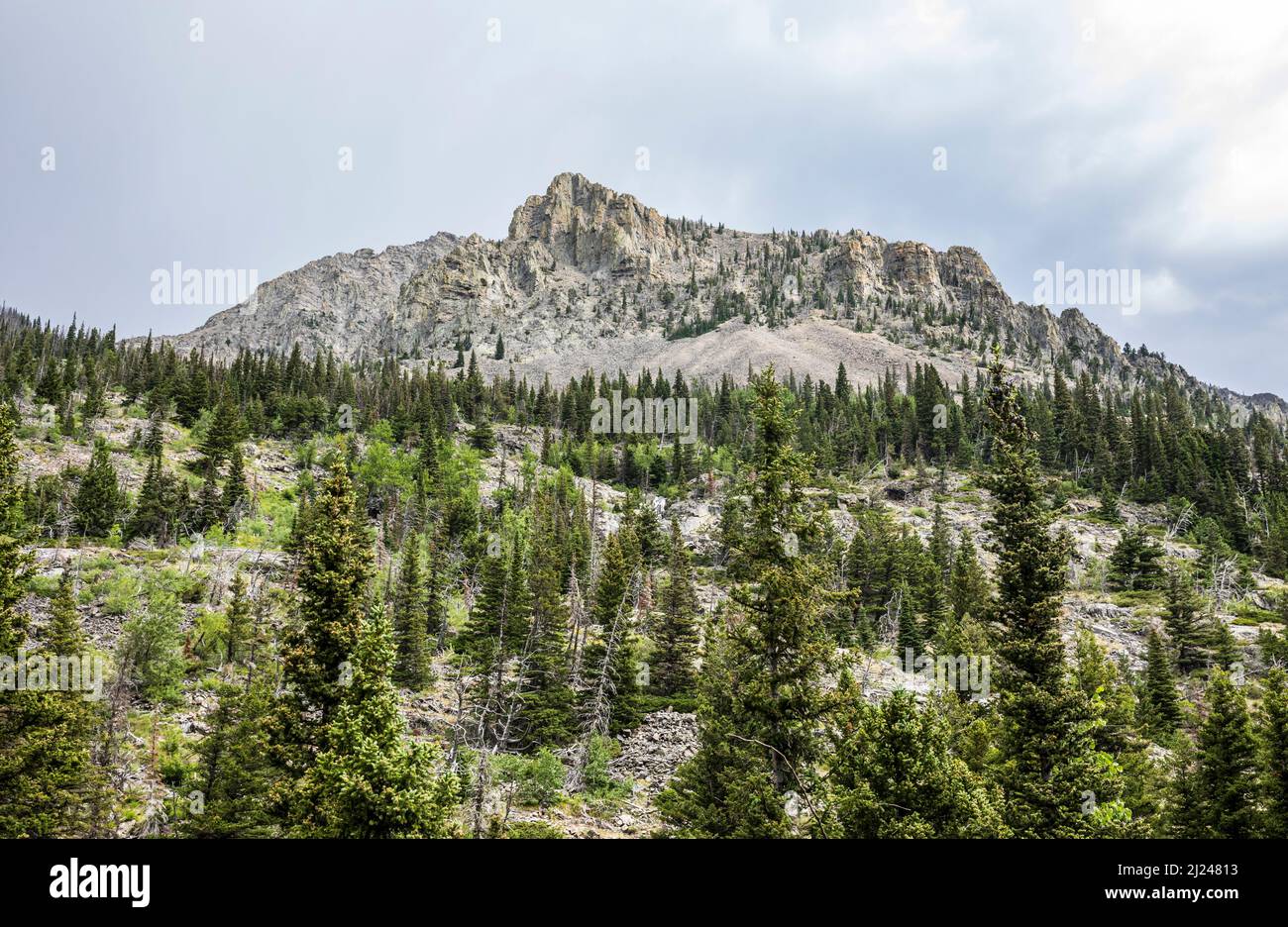 Mountains above Big Timber Creek trail in the Crazy Mountain range
