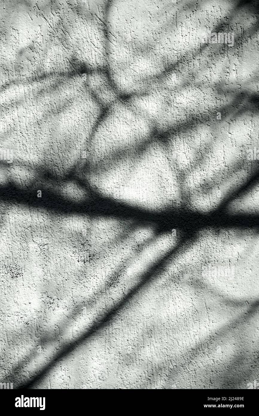 Vertical shot asphalt texture hi-res stock photography and images - Alamy