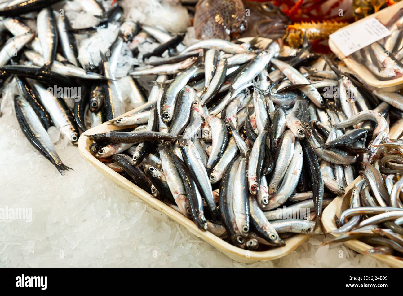 Fresh anchovies for sale at market Stock Photo Alamy