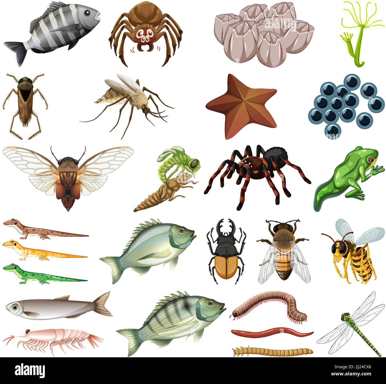 Different kinds of insects and animals on white background illustration ...