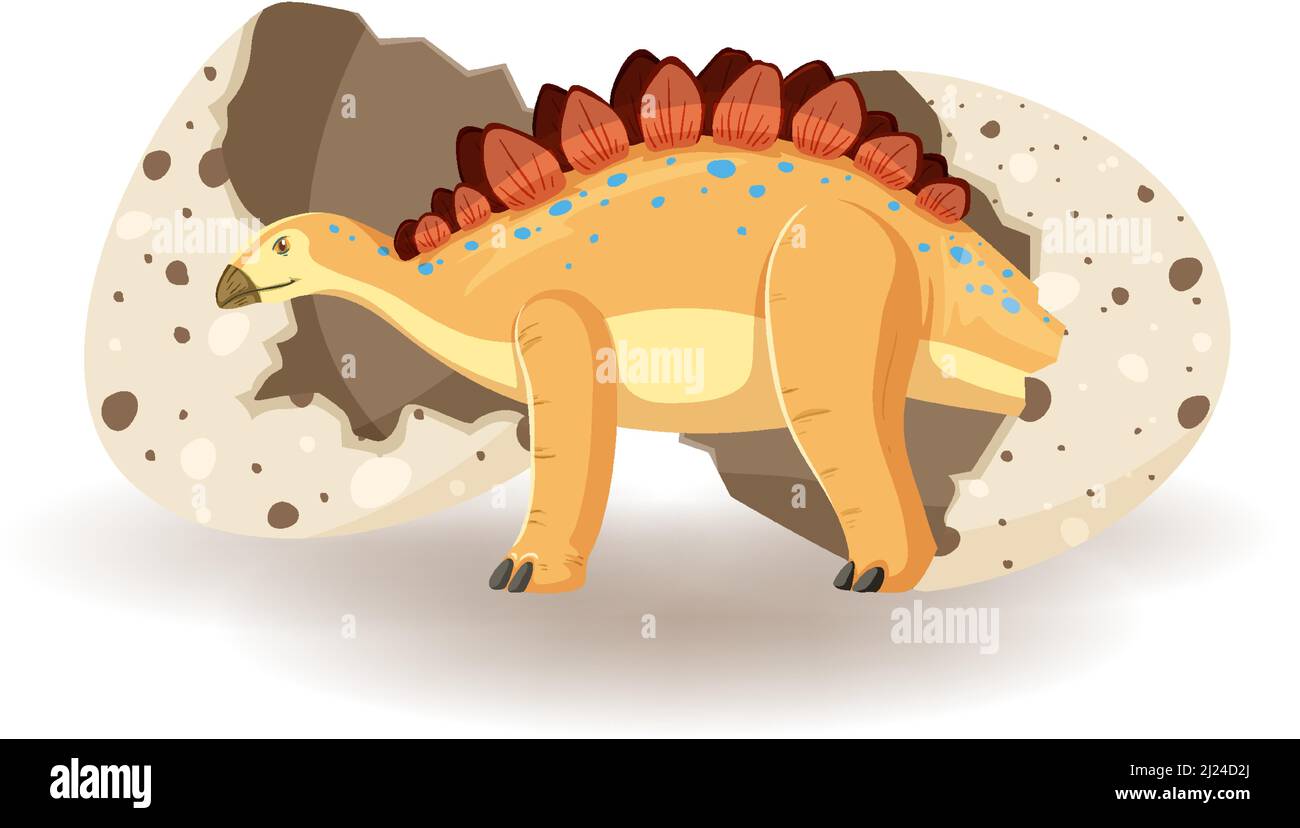Stegosaurus hatching from egg illustration Stock Vector Image & Art - Alamy