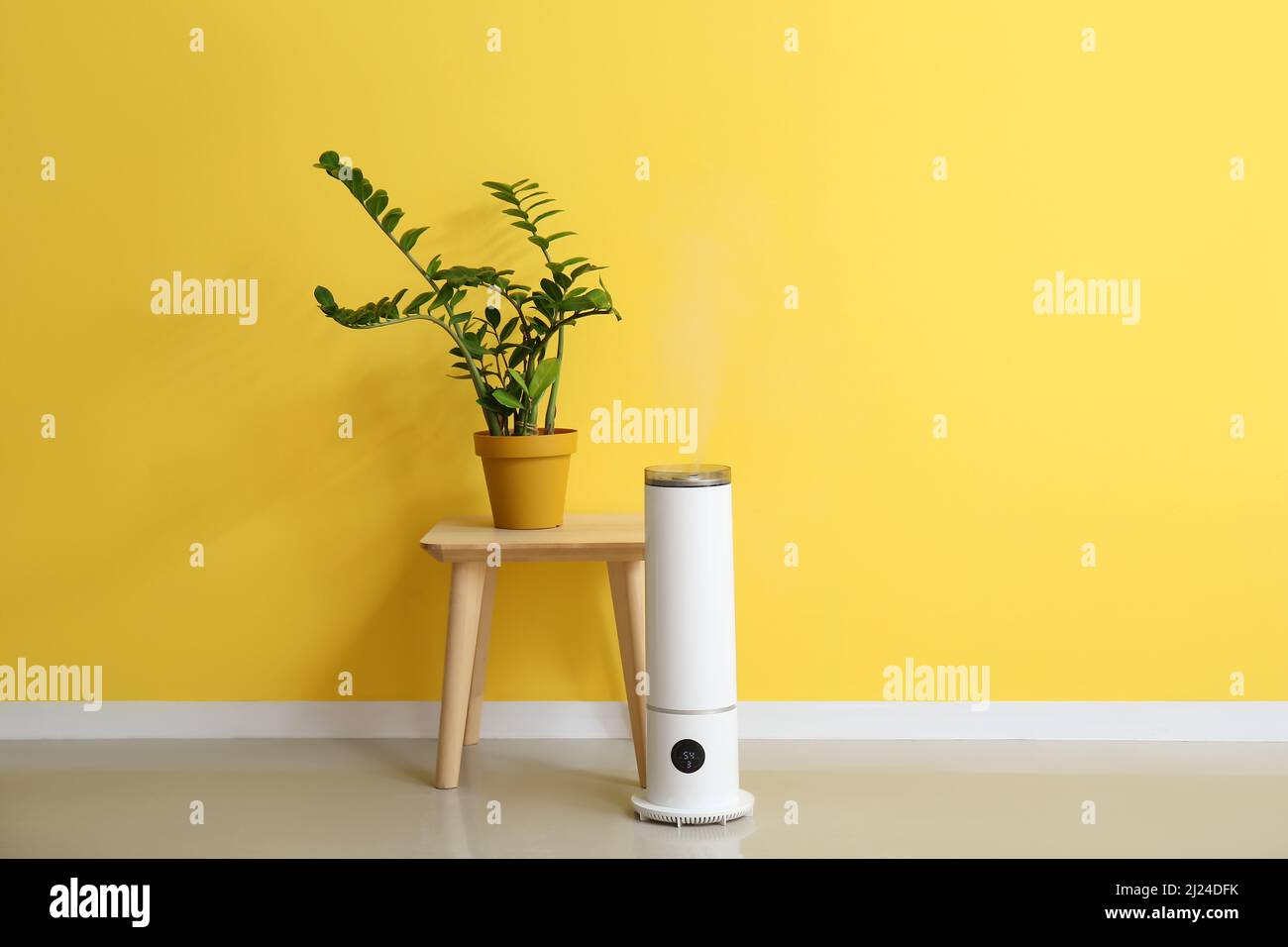 Steam from humidifier, moistens dry air surrounded by indoor houseplants.  Home garden, plant care Stock Photo - Alamy