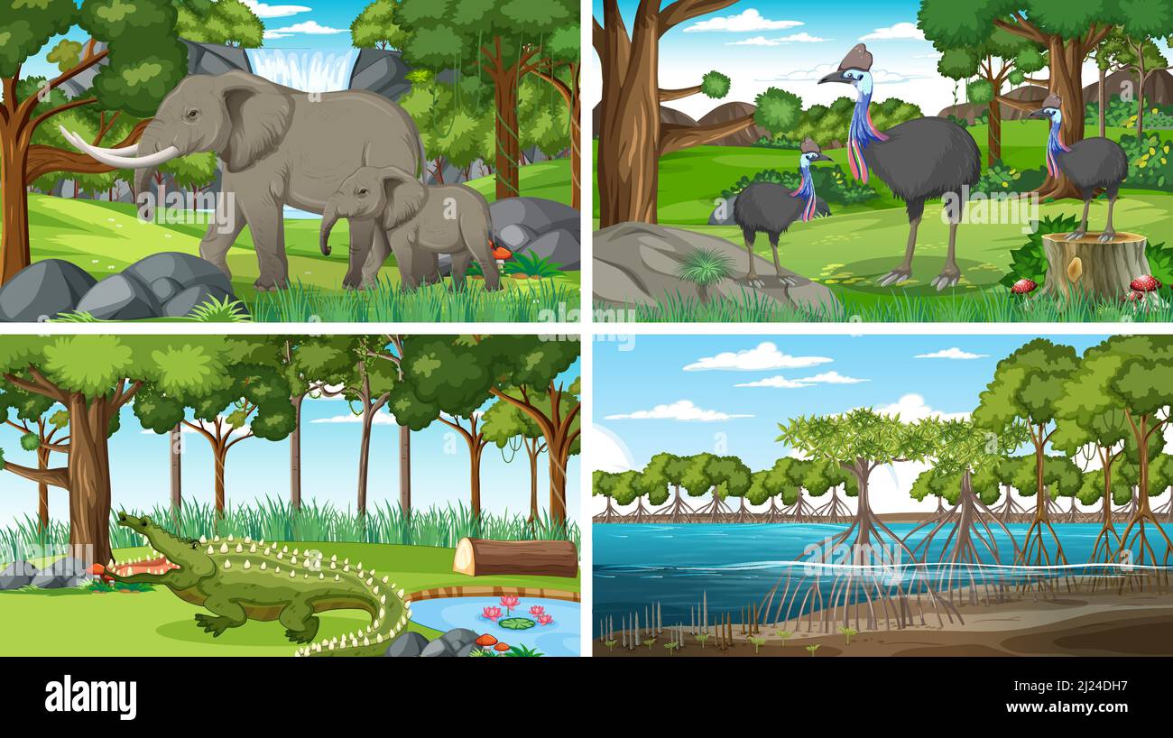 Scenes with wild animals in forest illustration Stock Vector Image ...