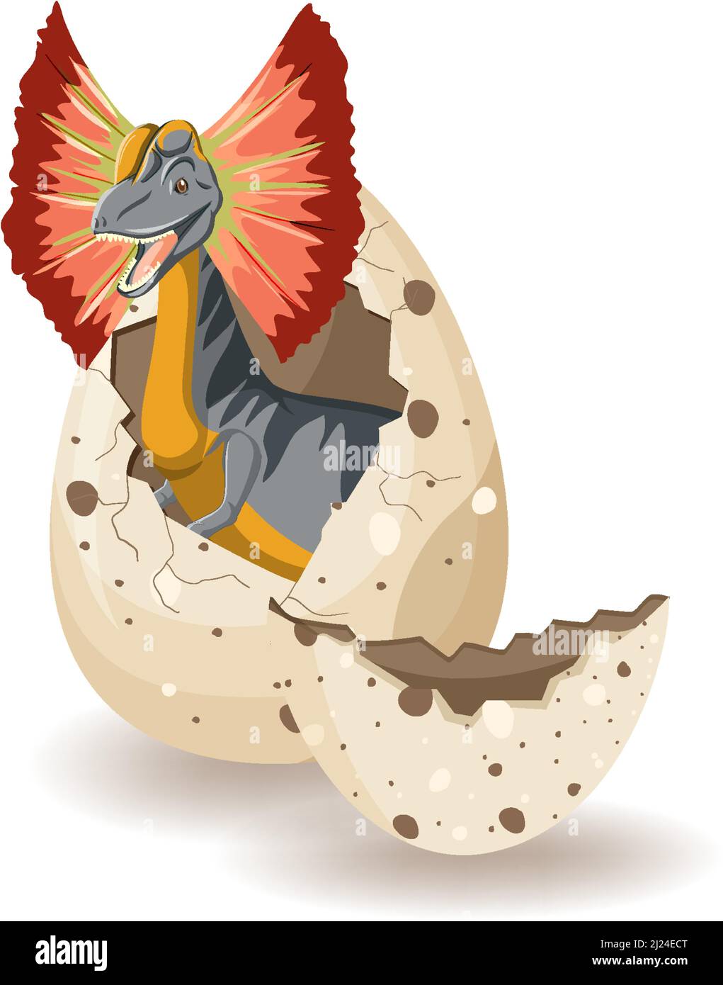 Dilophosaurus hatching from egg illustration Stock Vector Image & Art ...