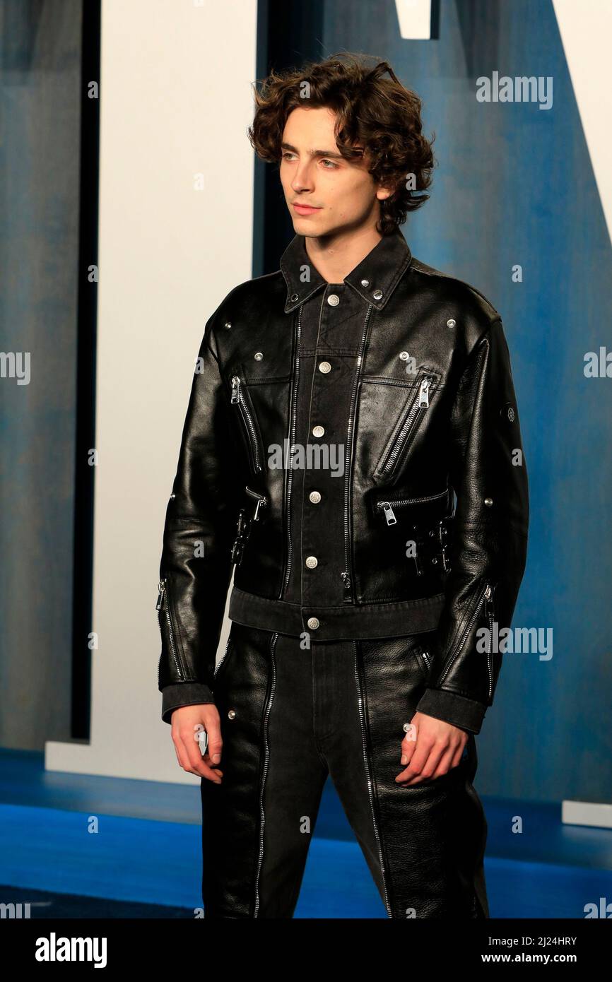 Red Carpet Fashion Awards - Timothée Chalamet In Alexander McQueen – 'A  Beautiful Boy' London Film Festival Premiere