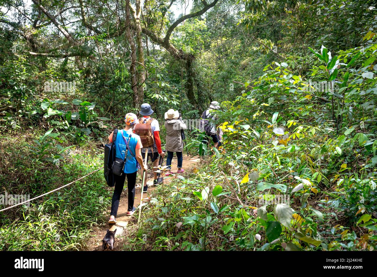 Kon Chu Rang Nature Reserve, Gia Lai Province, Vietnam, March 6, 2022: tourists are walking through the forest to explore the rainforest in Kon Chu Ra Stock Photo