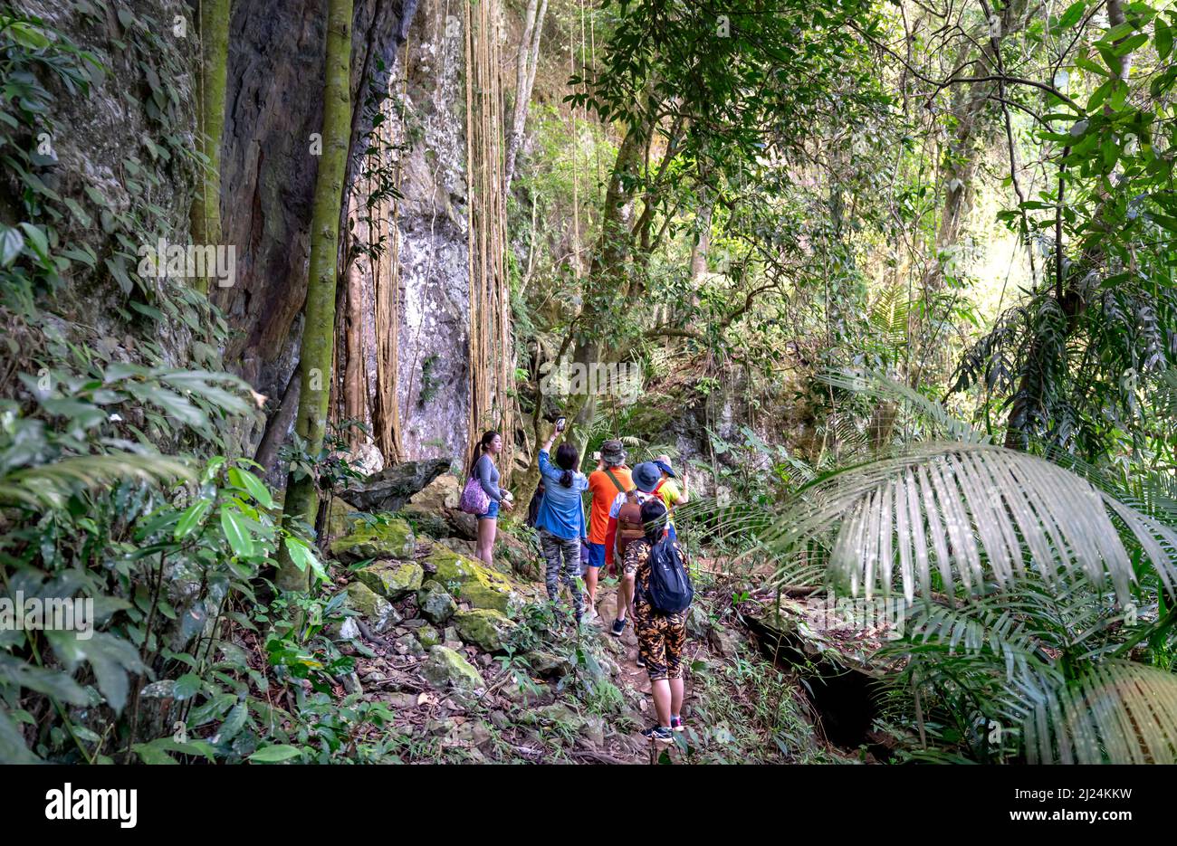 Kon Chu Rang Nature Reserve, Gia Lai Province, Vietnam, March 6, 2022: tourists are walking through the forest to explore the rainforest in Kon Chu Ra Stock Photo