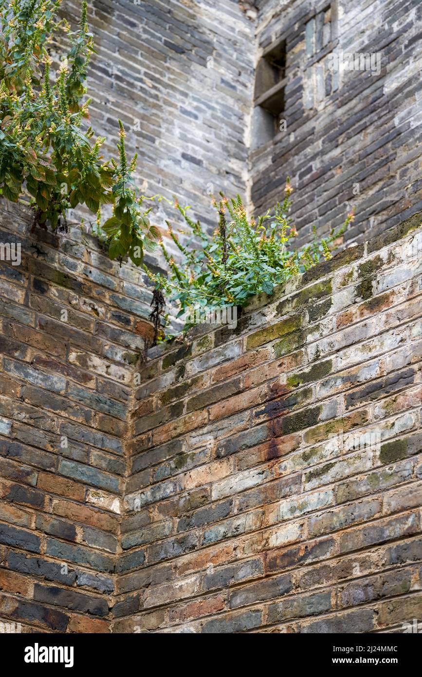 Close-up of ancient building exterior walls and plants in a Chinese style garden Stock Photo