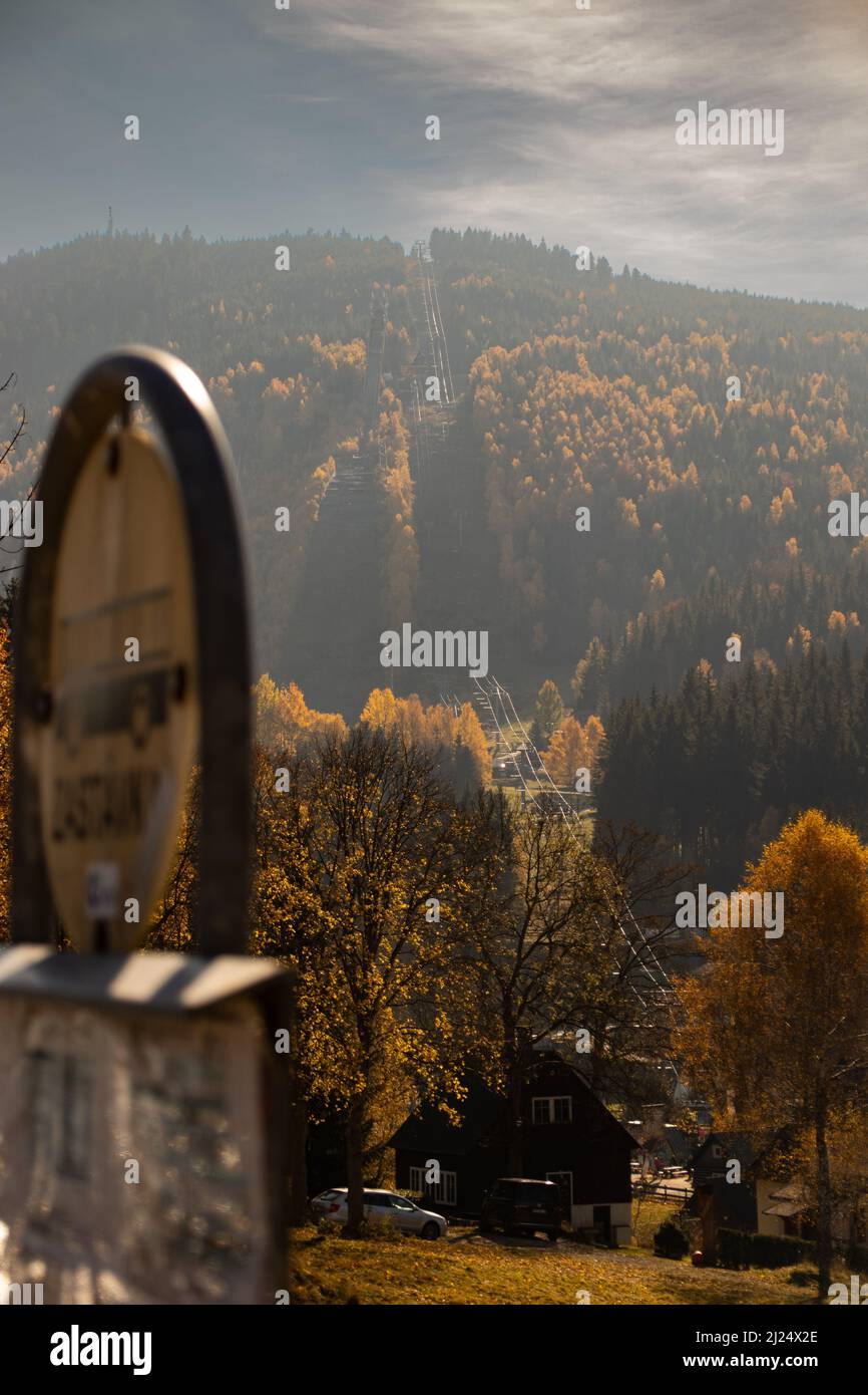 A vertical shot of dense forest with springboard between trees in Czech ...