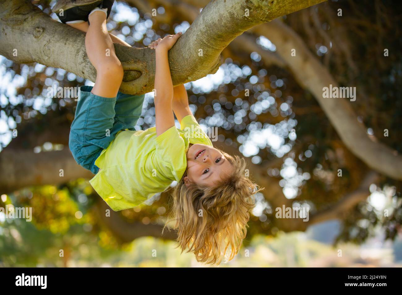 Young child blond boy climbing tree. Happy child playing in the garden climbing on the tree. Kids climbing trees, hanging upside down on a tree in a Stock Photo