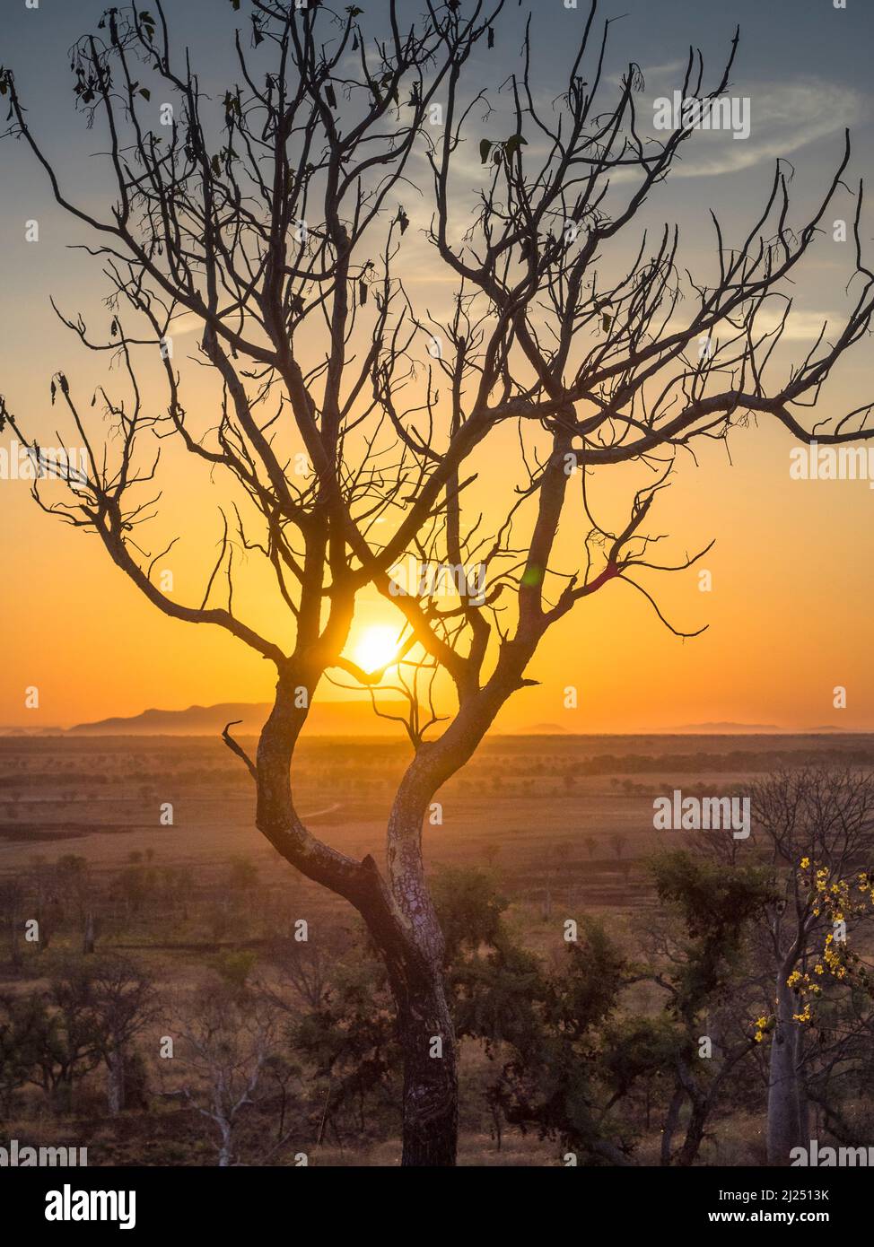 Sunrise between dead tree branches over House Roof HIll from Telegraph Hill, East Kimberley Stock Photo