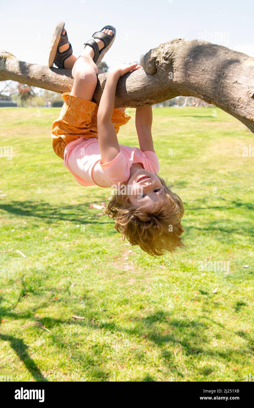 Child on a tree branch. Child climbing in adventure activity park