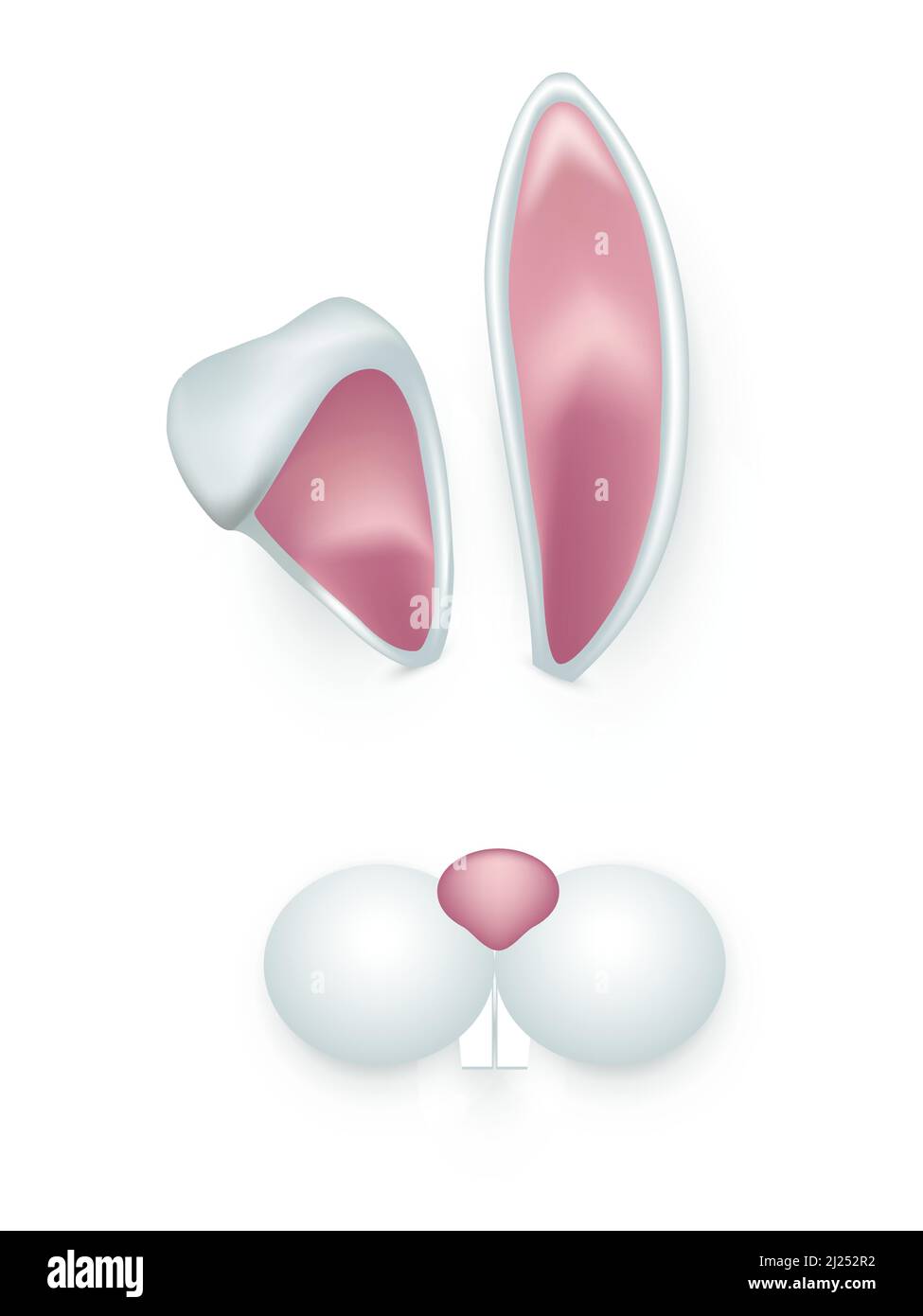 Ears of spring bunny and cute muzzle vector illustration. 3d funny