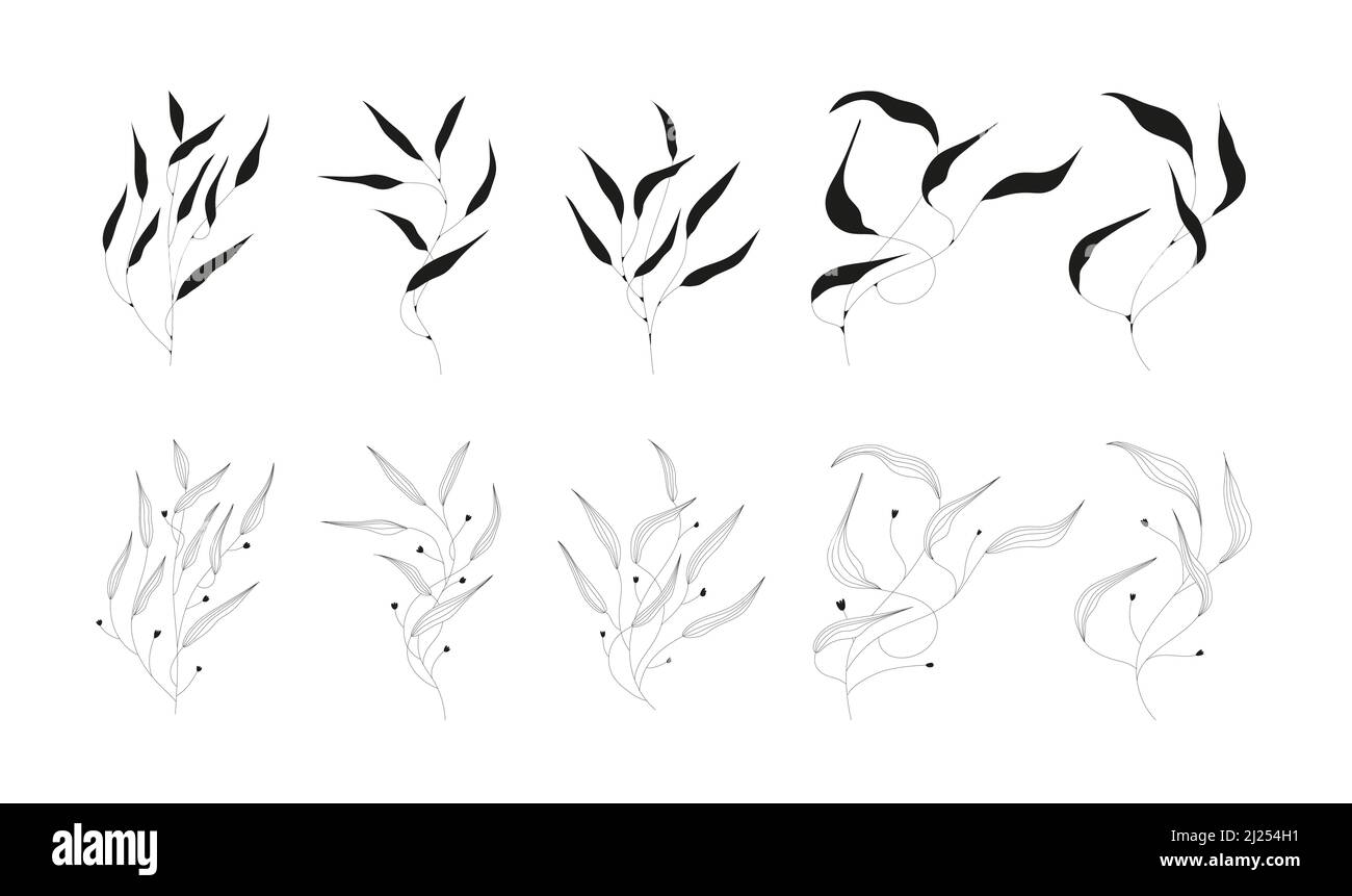 Leaves and twigs on an isolated white background Stock Vector Image ...
