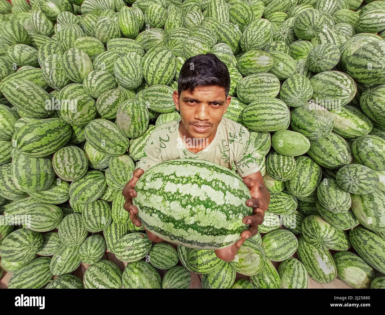 Narayanganj, Dhaka, Bangladesh. 30th Mar, 2022. A seller displays watermelon  to attract the customers for sale at a bustling riverside wholesale fruit  market in Narayanganj, Bangladesh. Everyday, more than 50,000 watermelons  come