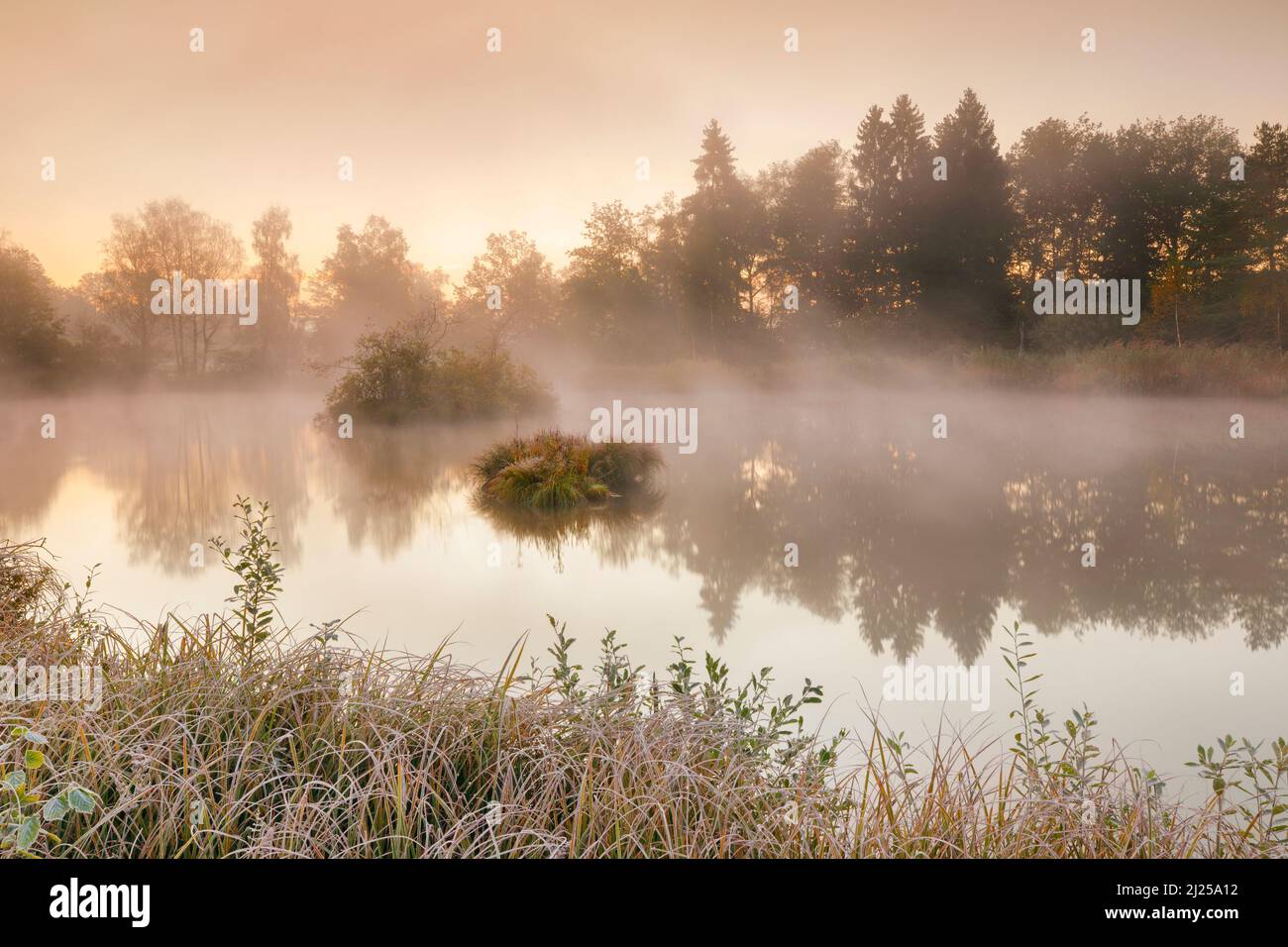 Autumnal morning mood at pond in nature reserve Wildert in Illnau, hoarfrost covers vegetation in foreground as well as on islands and fog clouds hover over water at sunrise, canton Zuerich, Switzerland Stock Photo