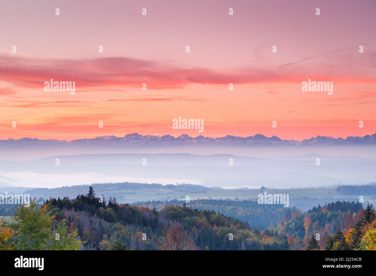 Autumn sunrise with fog over the hilly midlands with the Swiss Alps in the background. View from Hoechenschwand in Black Forest, Germany Stock Photo
