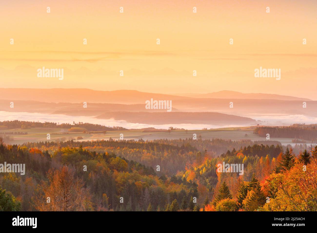 Autumn sunrise with fog over the hilly midlands with the Swiss Alps in the background. View from Hoechenschwand in Black Forest, Germany Stock Photo