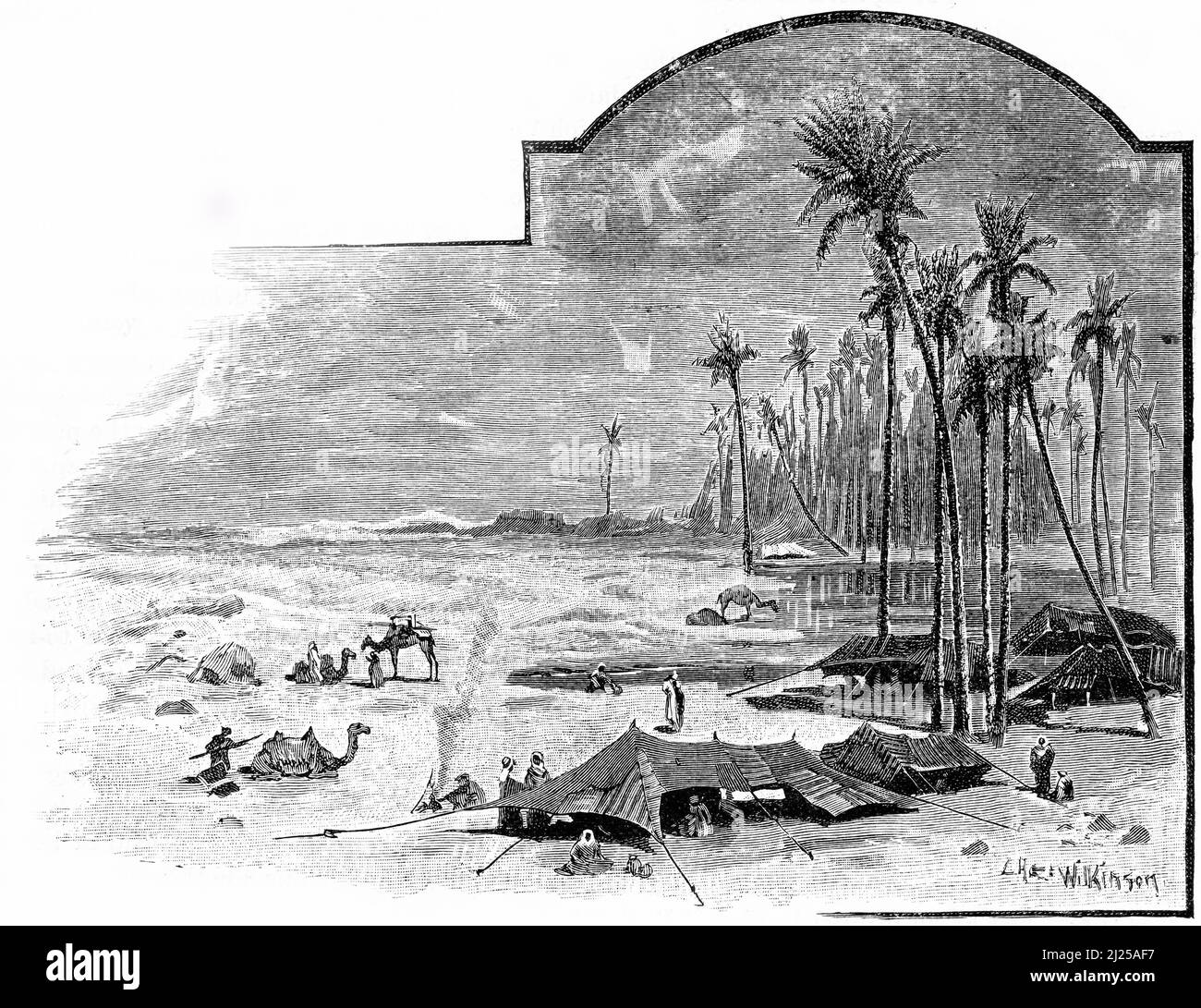 Engraving of Middle Eastern people settled in at an oasis in the desert, circa 1890 Stock Photo