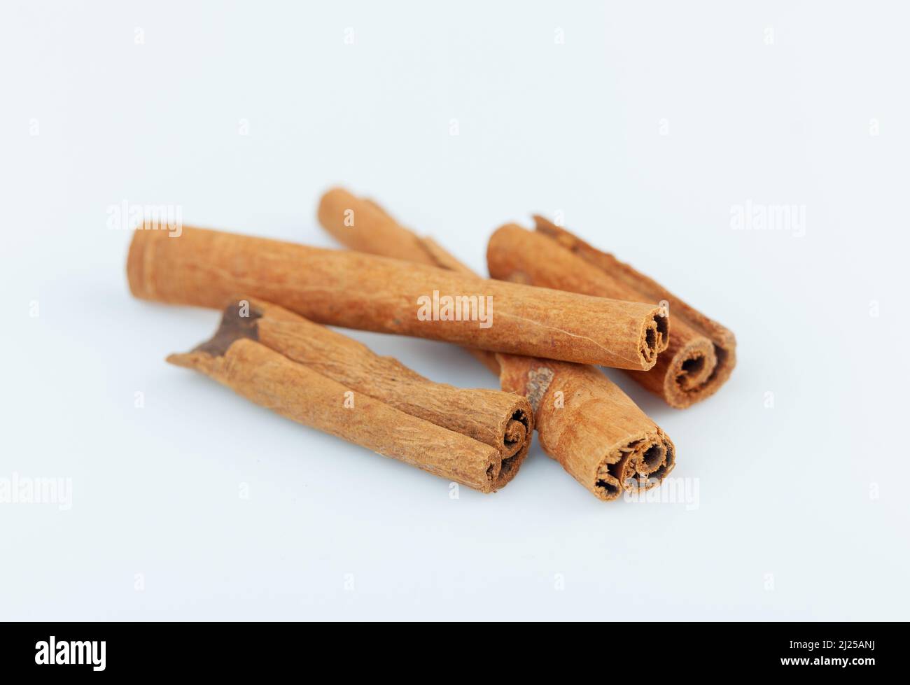Cinnamon Sticks on a white background Stock Photo