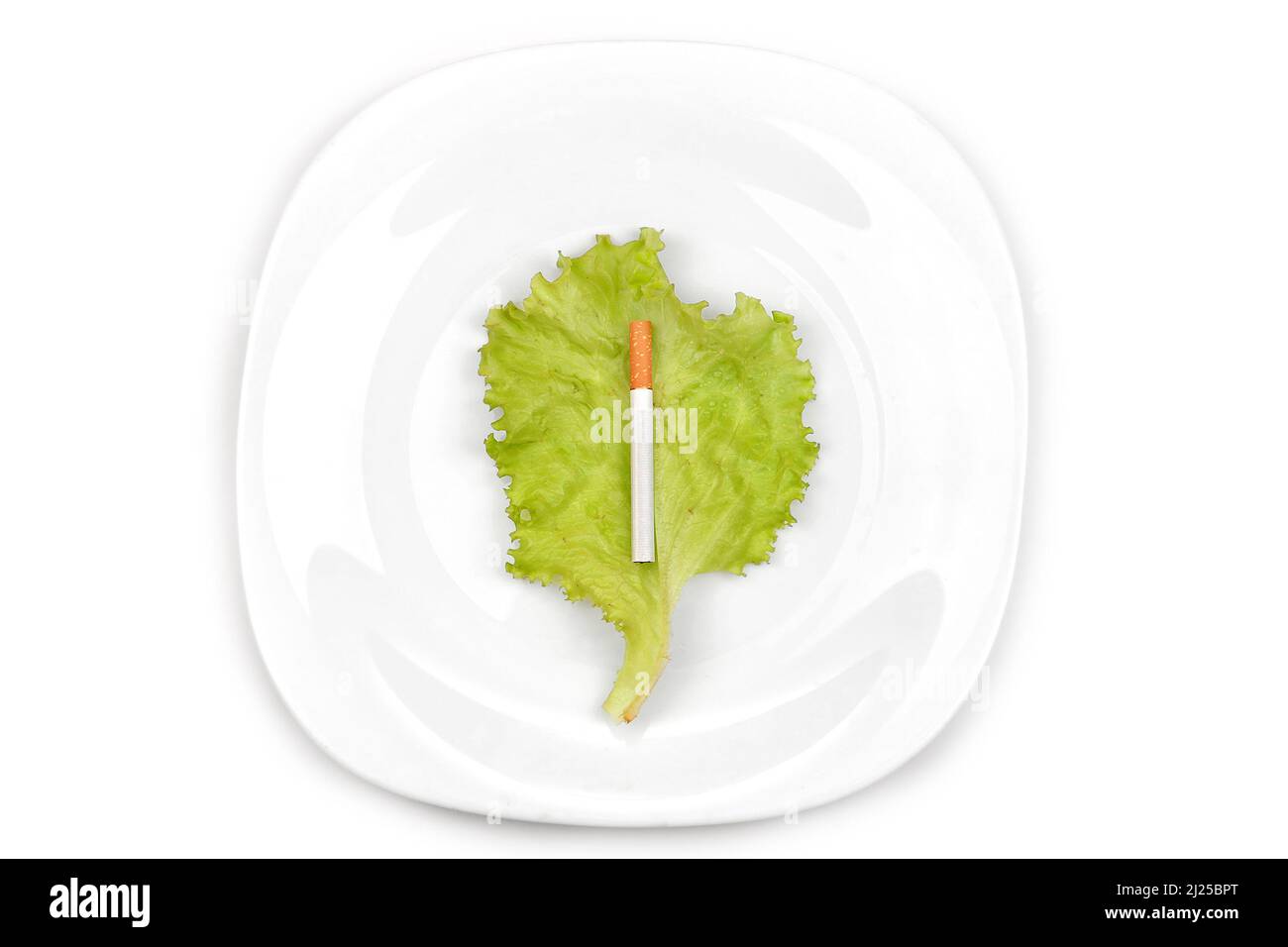 Cigarette on the Lettuce Leaf in the Dinner Plate Instead a Food Stock