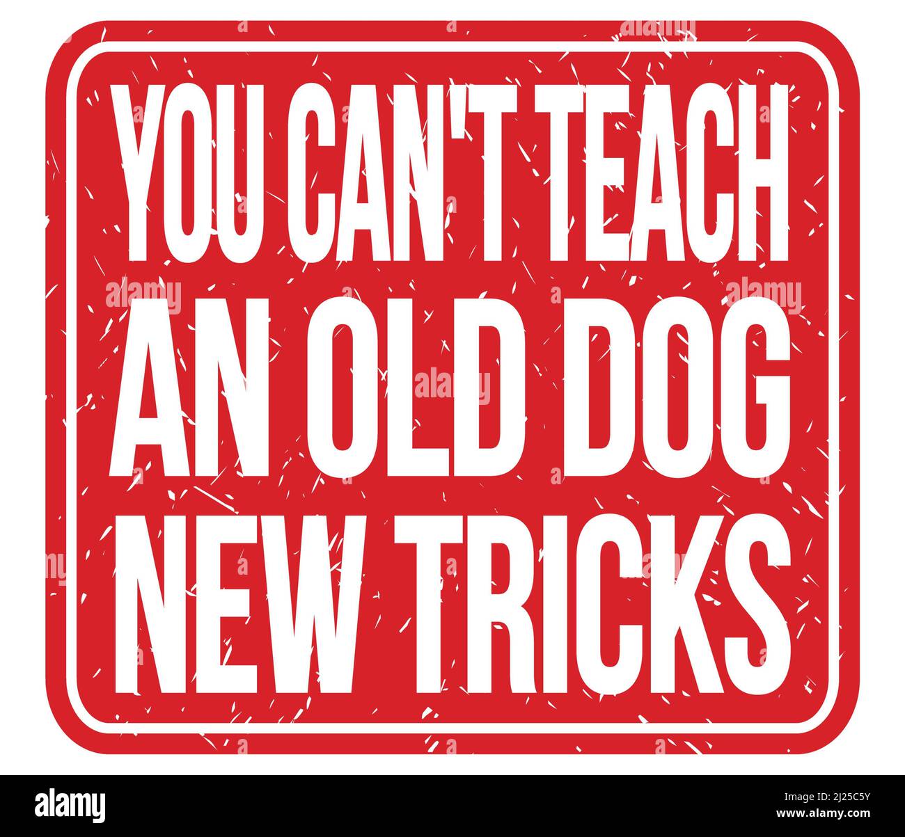 Why Cant Old Dogs Learn New Tricks